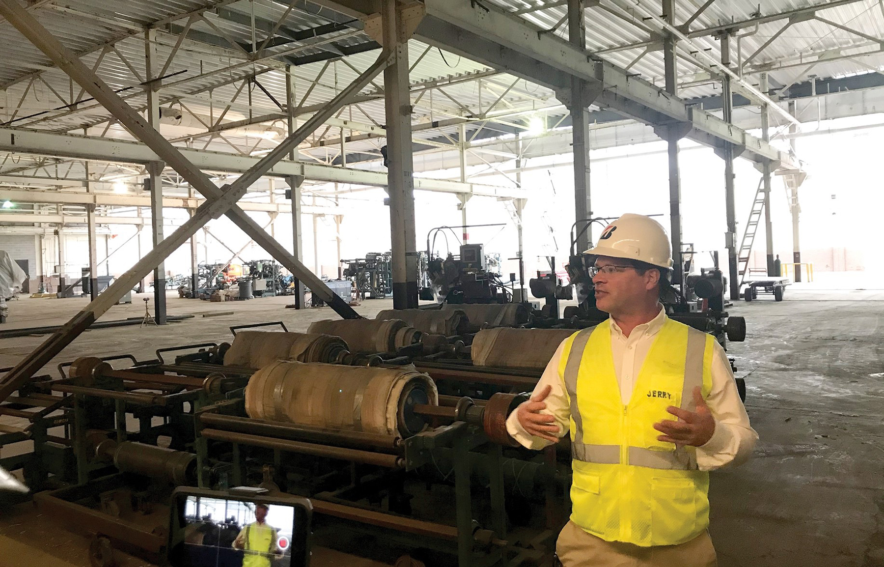 califia plant Encelia californica