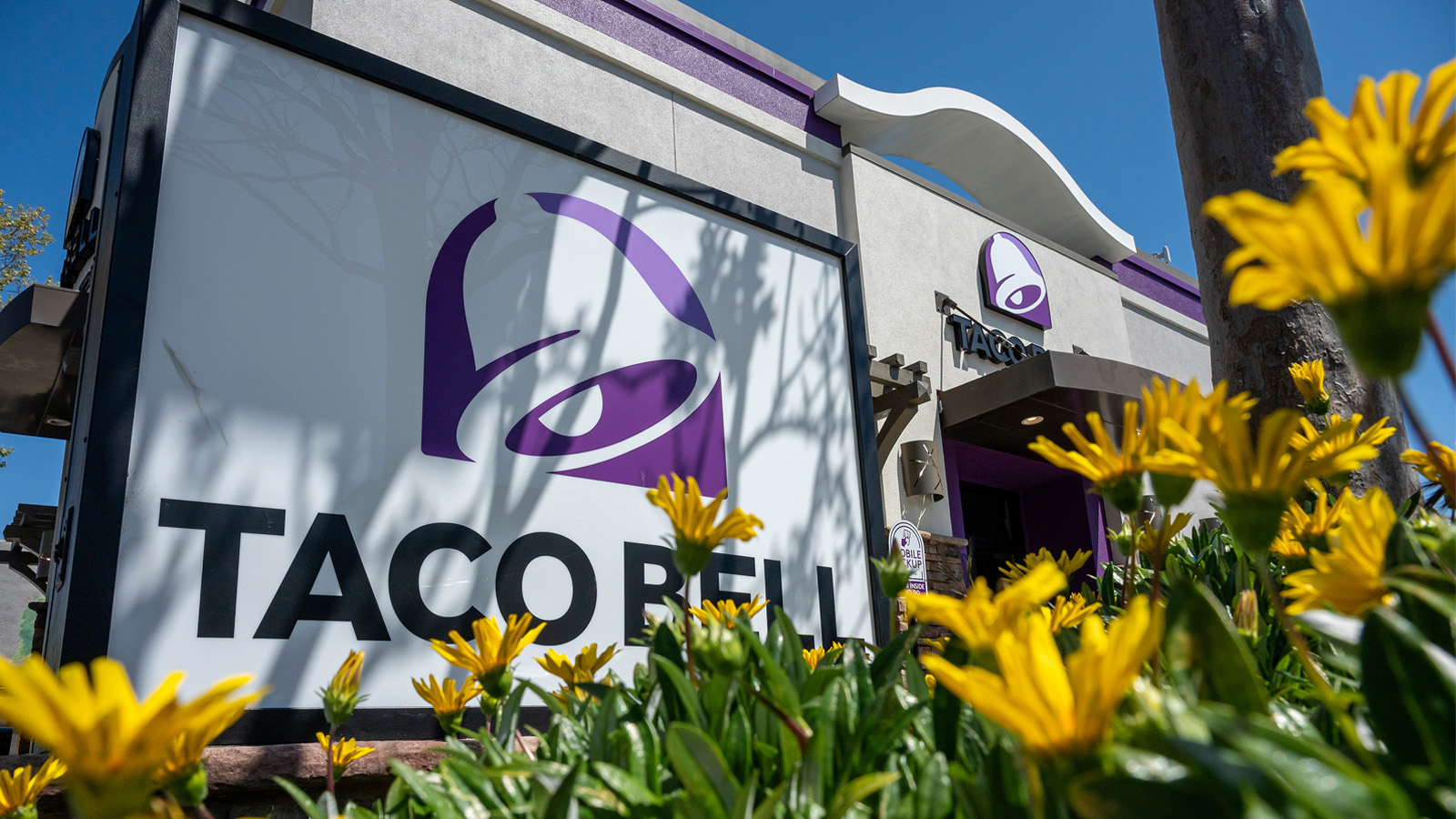 Inside Taco Bell’s marketing playbook for international growth