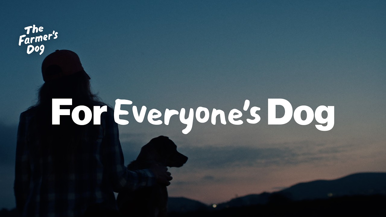 The Farmer’s Dog celebrates everyone’s dog in sweet Alma Har’el spots