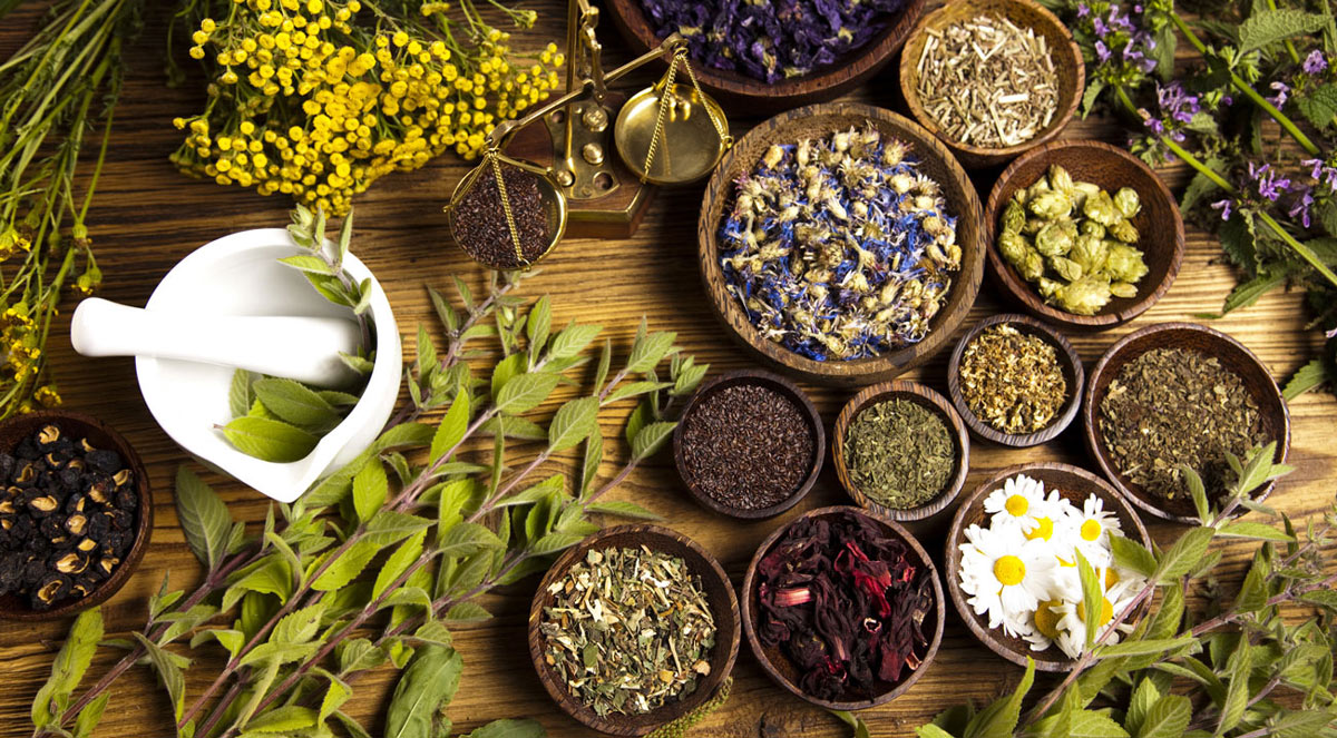 Medicina natural: plantas y frutos que deberías tener en tu botiquín alternativo