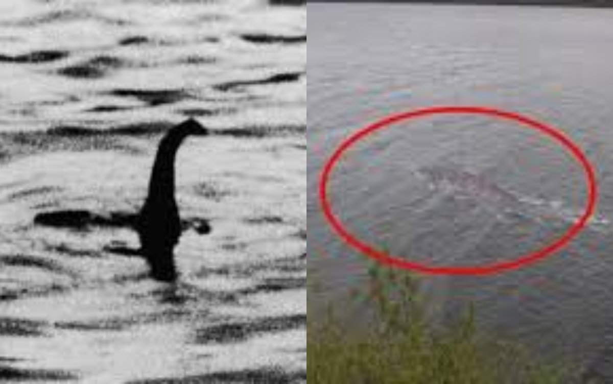 medio litro Vista ayuda La verdad de la extraña fotografía del Monstruo del Lago Ness en pleno 2020