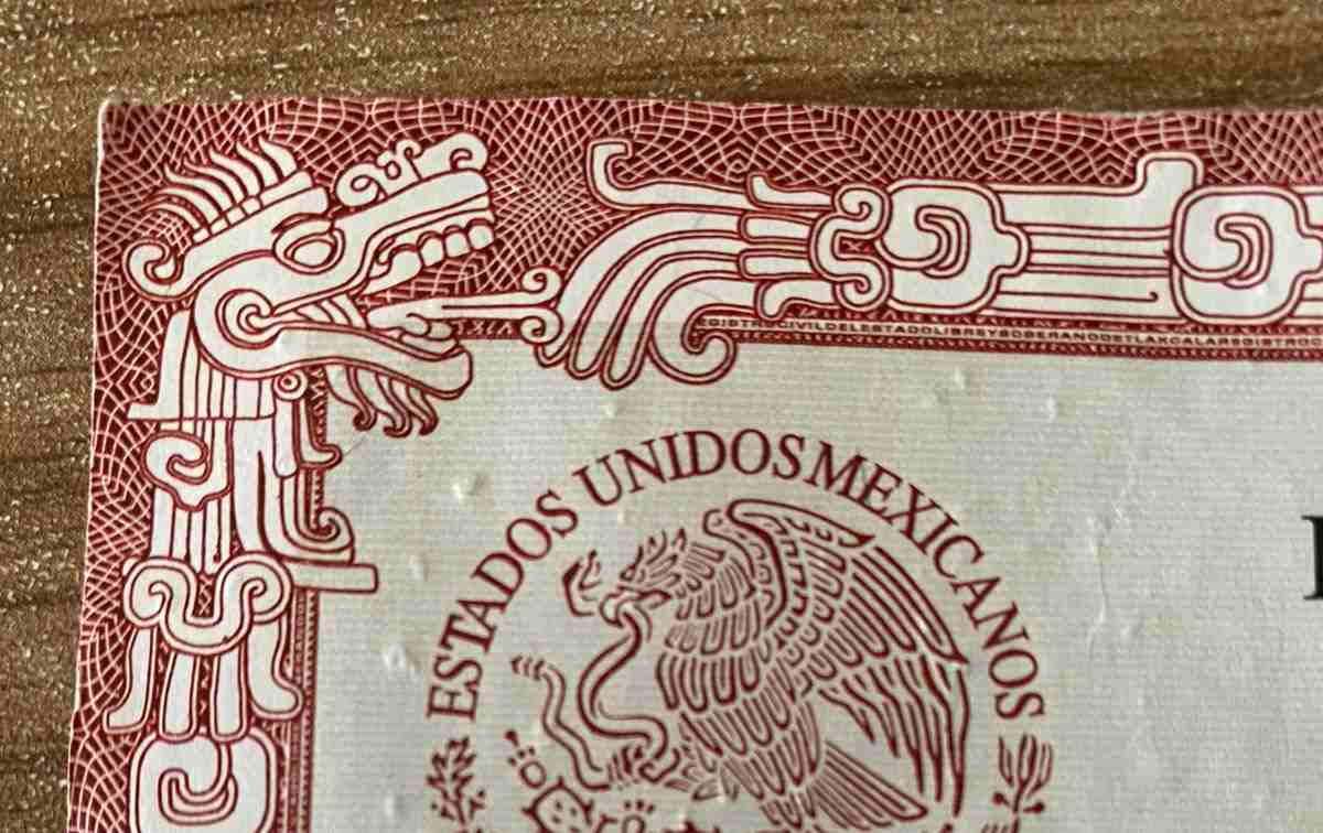 No es Quetzalcóatl: ¿Qué significan las serpientes en las actas de  nacimiento?