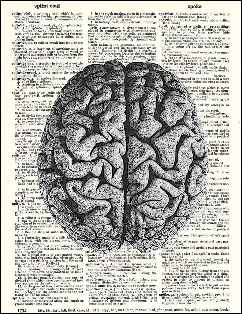 Así se modifica tu cerebro cuando lees