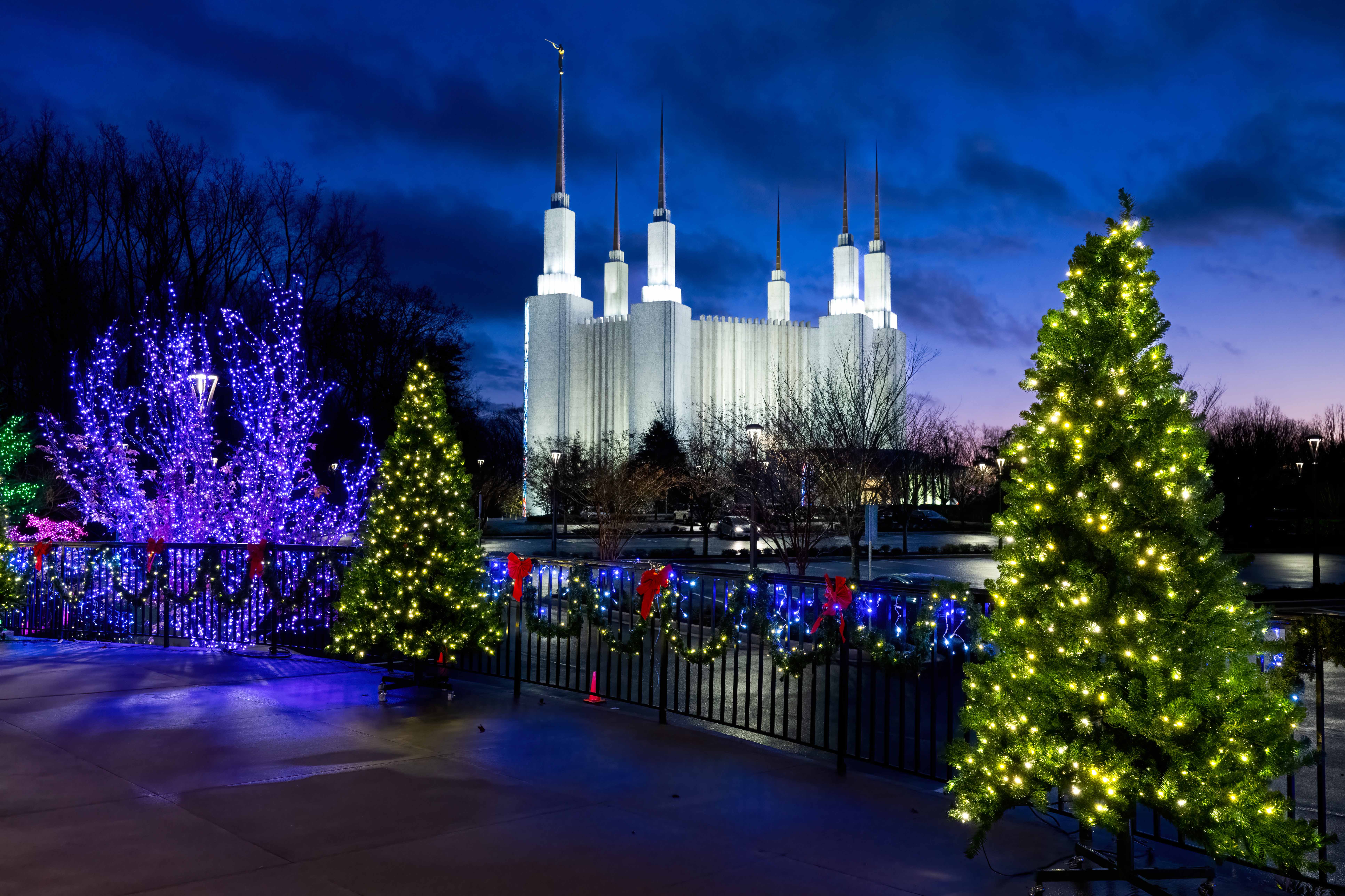 Washington D.C. Temple grounds illuminated by Elder Caussé