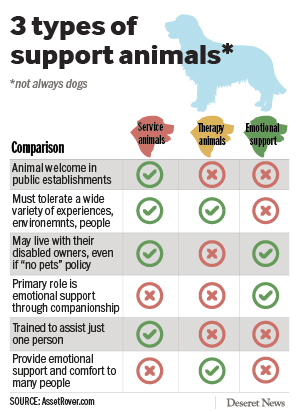 Therapy Types Of Support Animals Breeds Mental Health Emotional