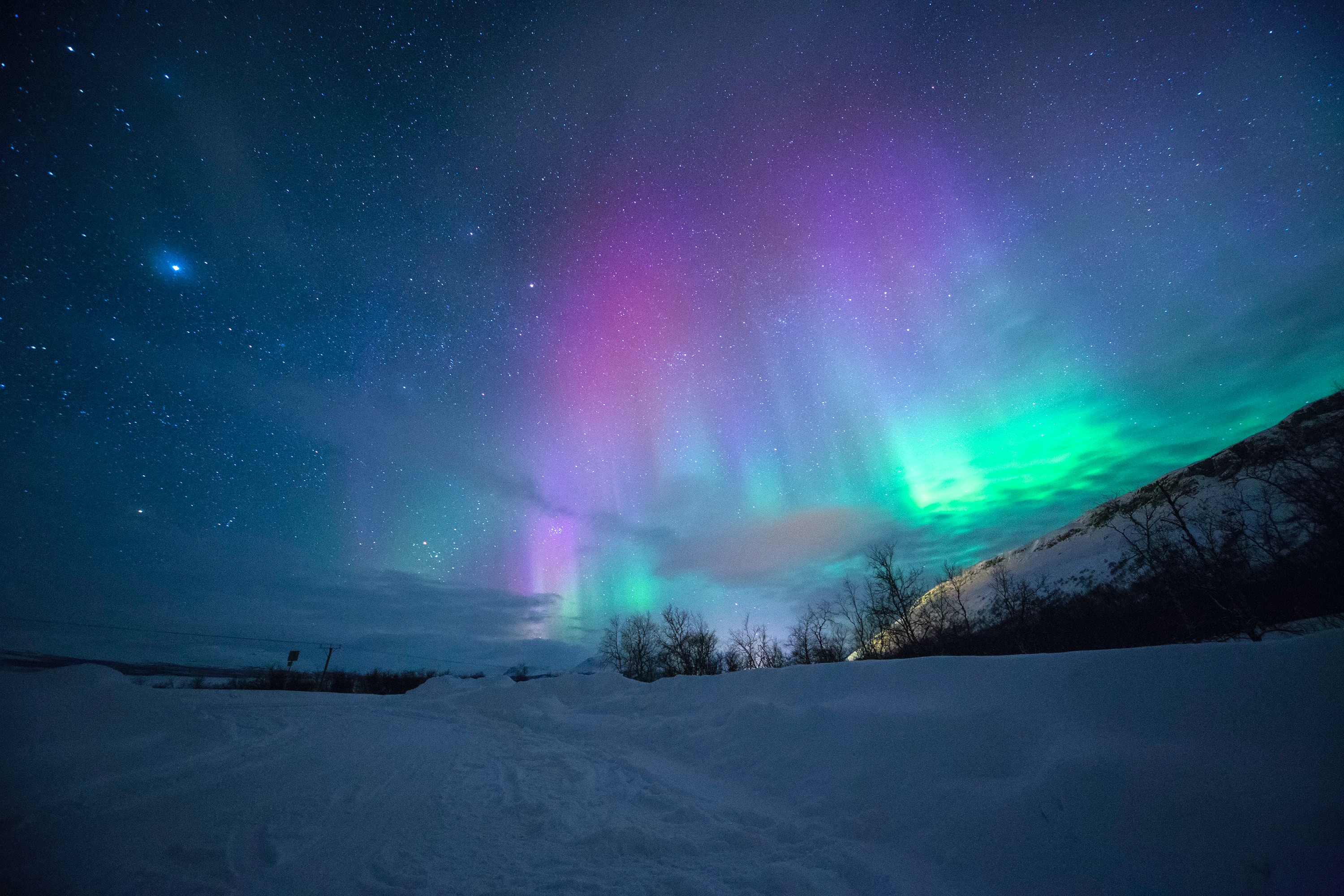 Northern Lights In 2024