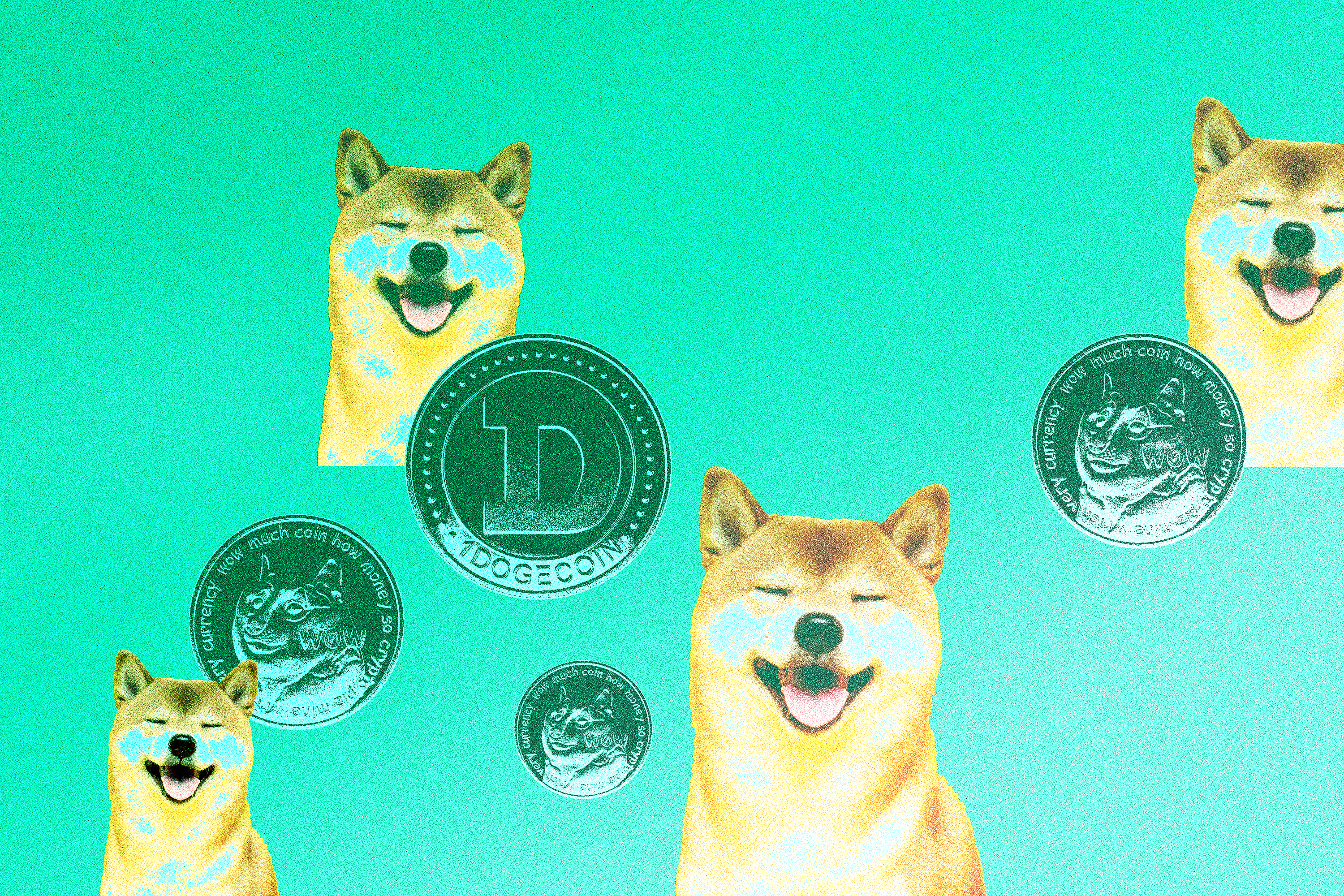 SHIB coin: Shiba Inu coin is pointless, expert says – Deseret News