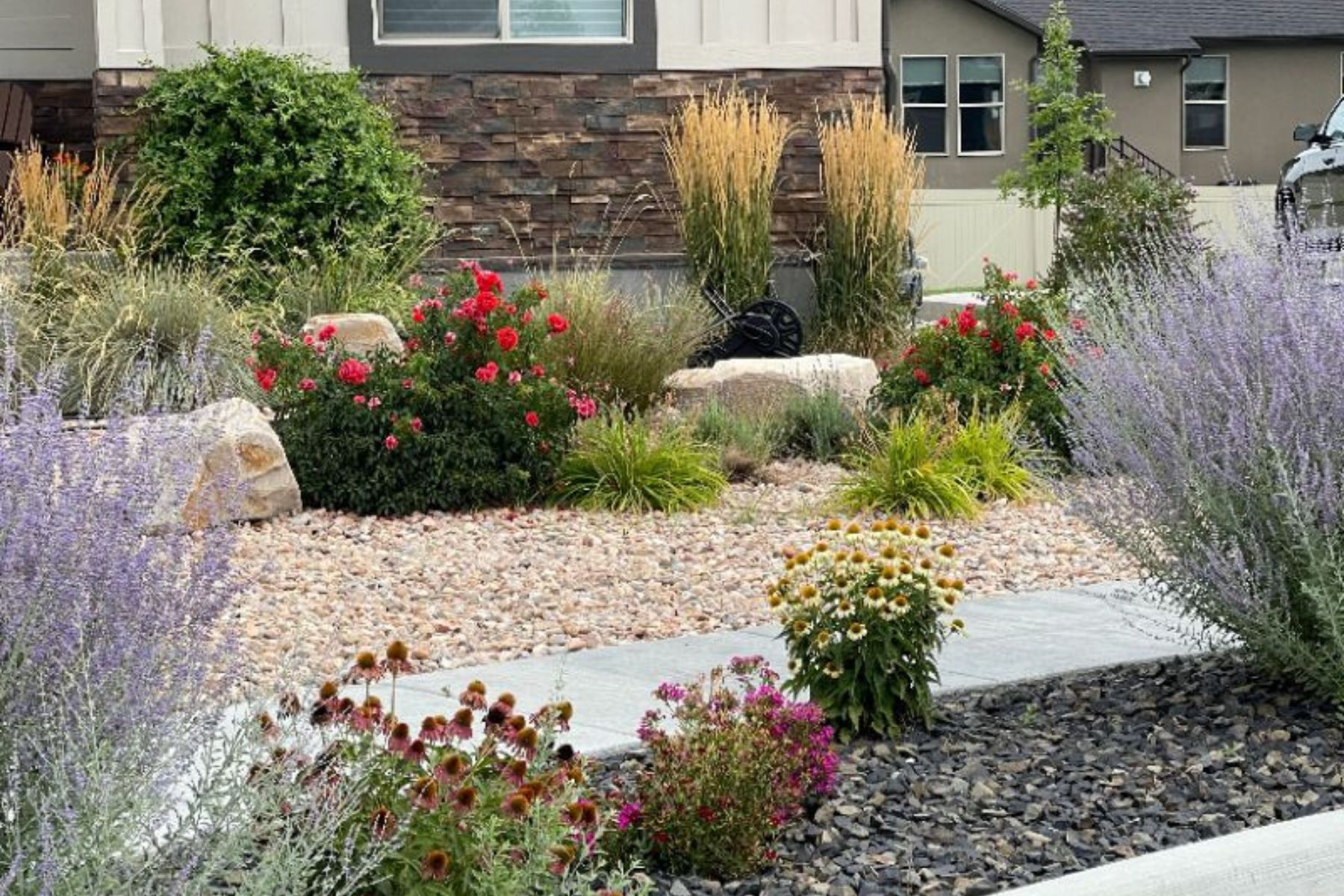 Xeriscape landscaping deals