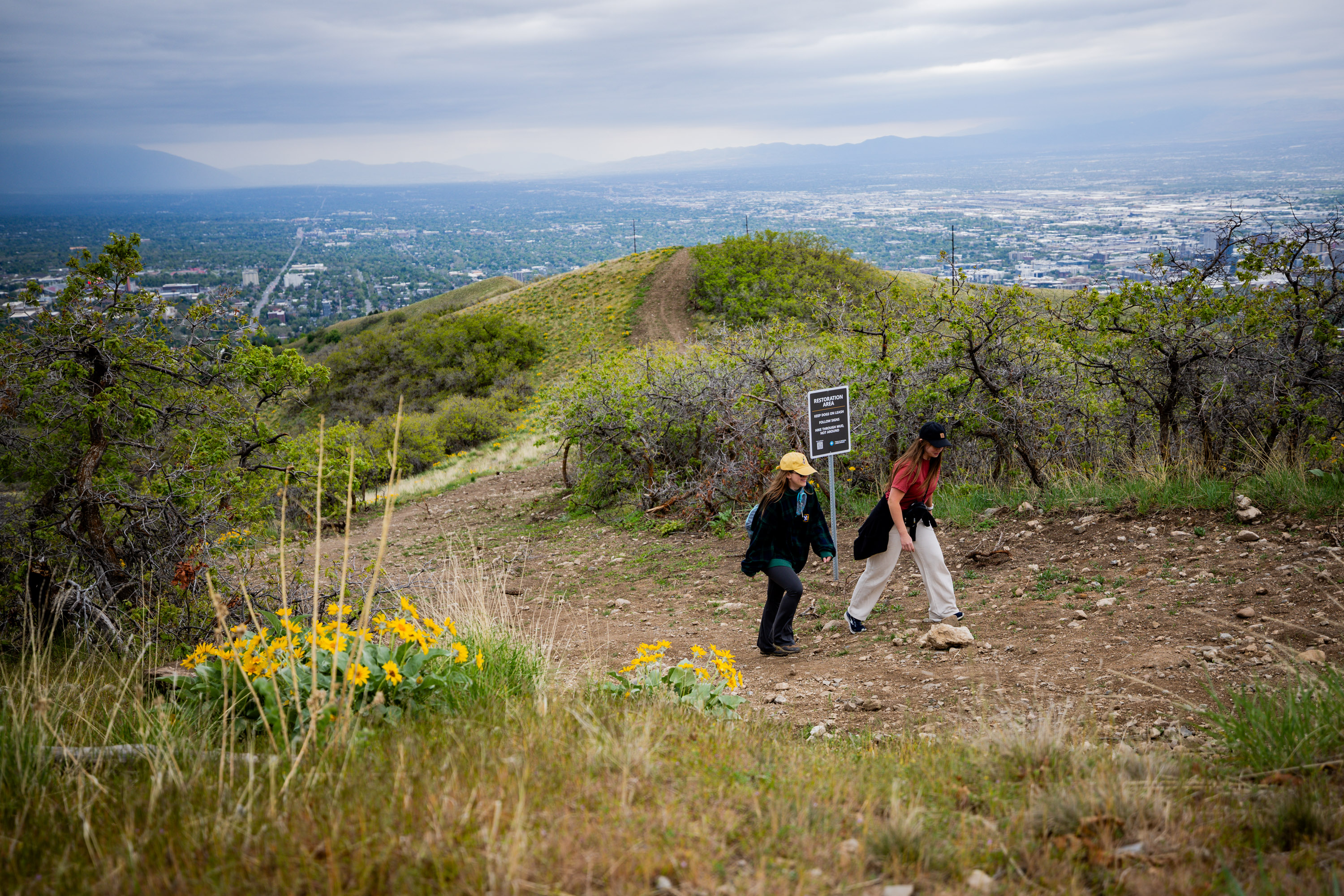 Bonneville Shoreline Trail in spring with green vegetation and clear mountain views in the background