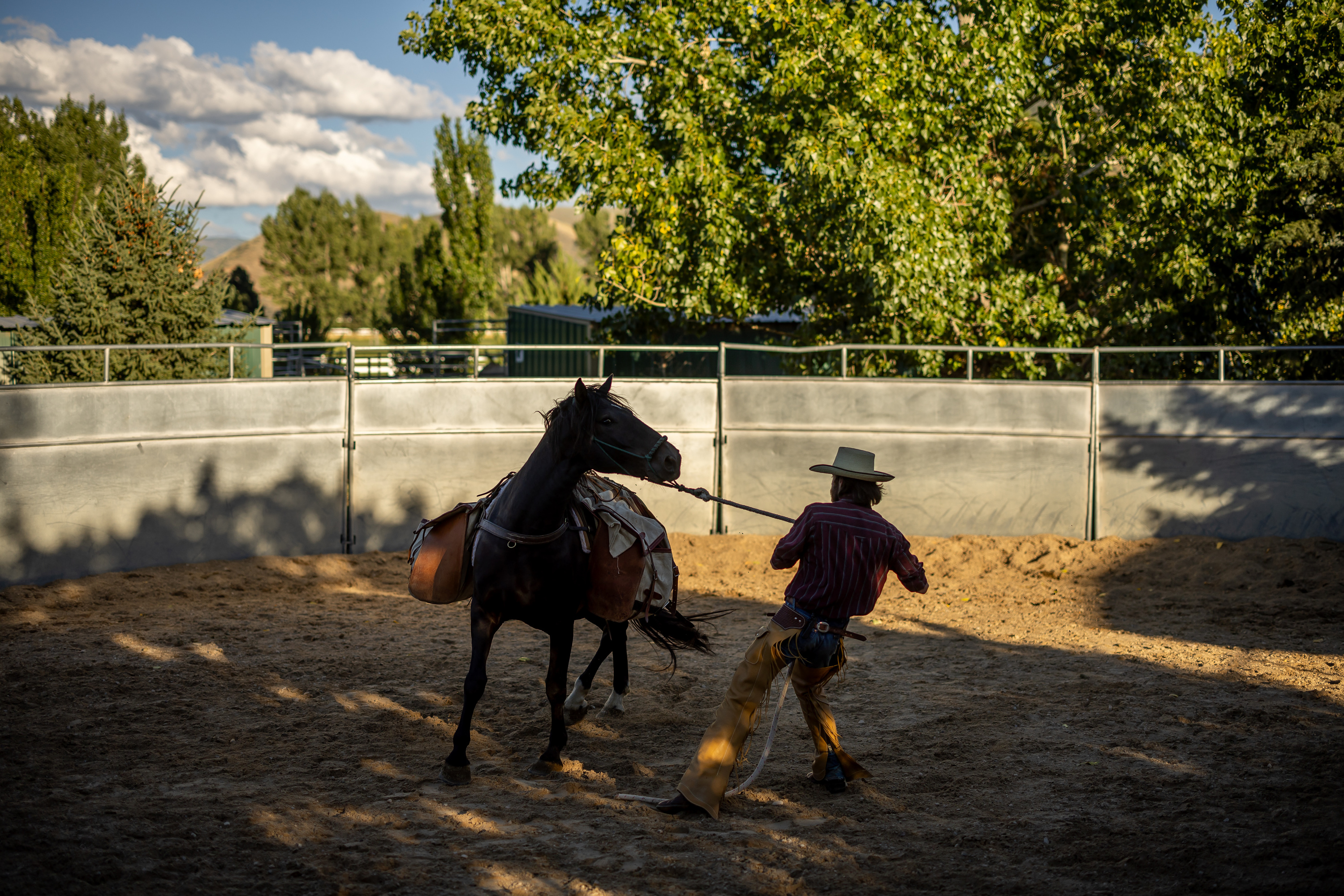 Why this Utah horseman is riding 3 mustangs across the U.S. and back –  Deseret News