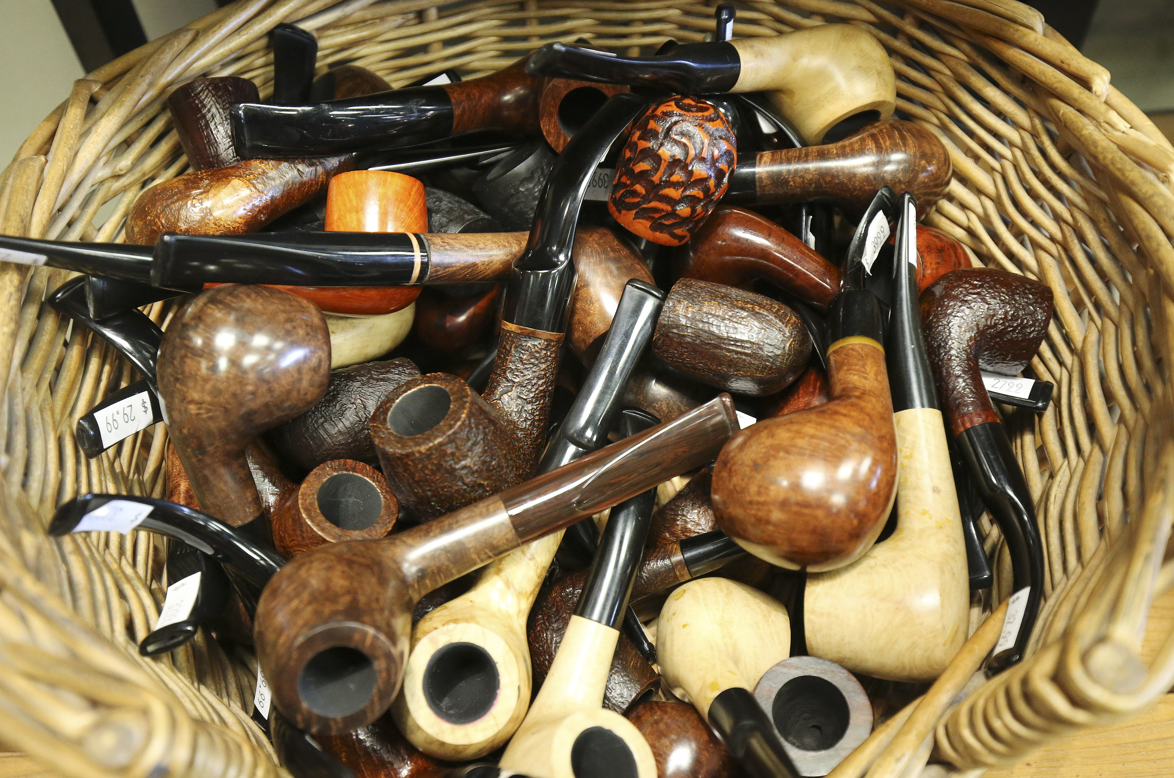 arapiraca tobacco BBCC Exclusive- 