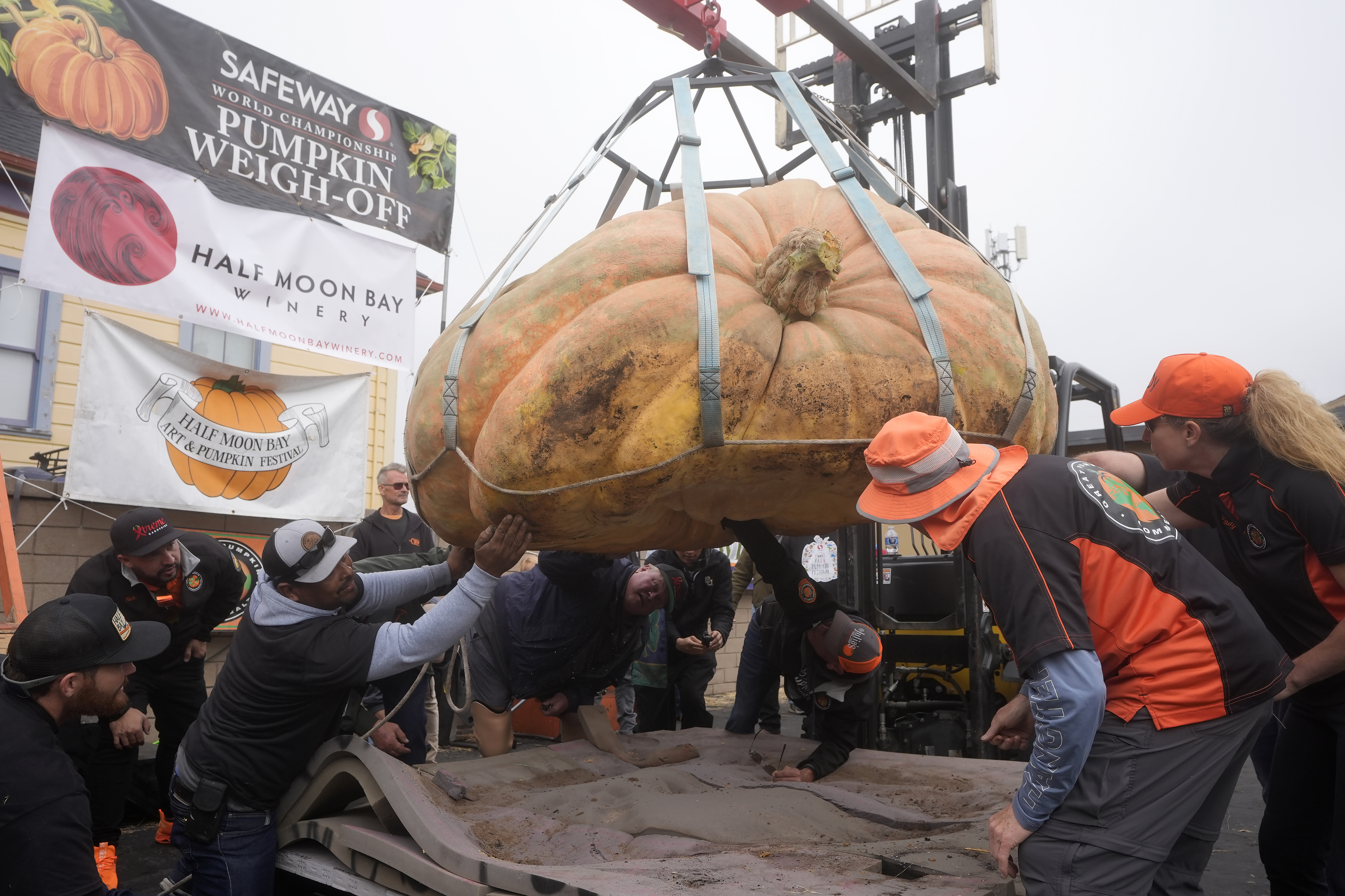 Half Moon Bay hosts 51st World Championship Pumpkin Weigh-Off