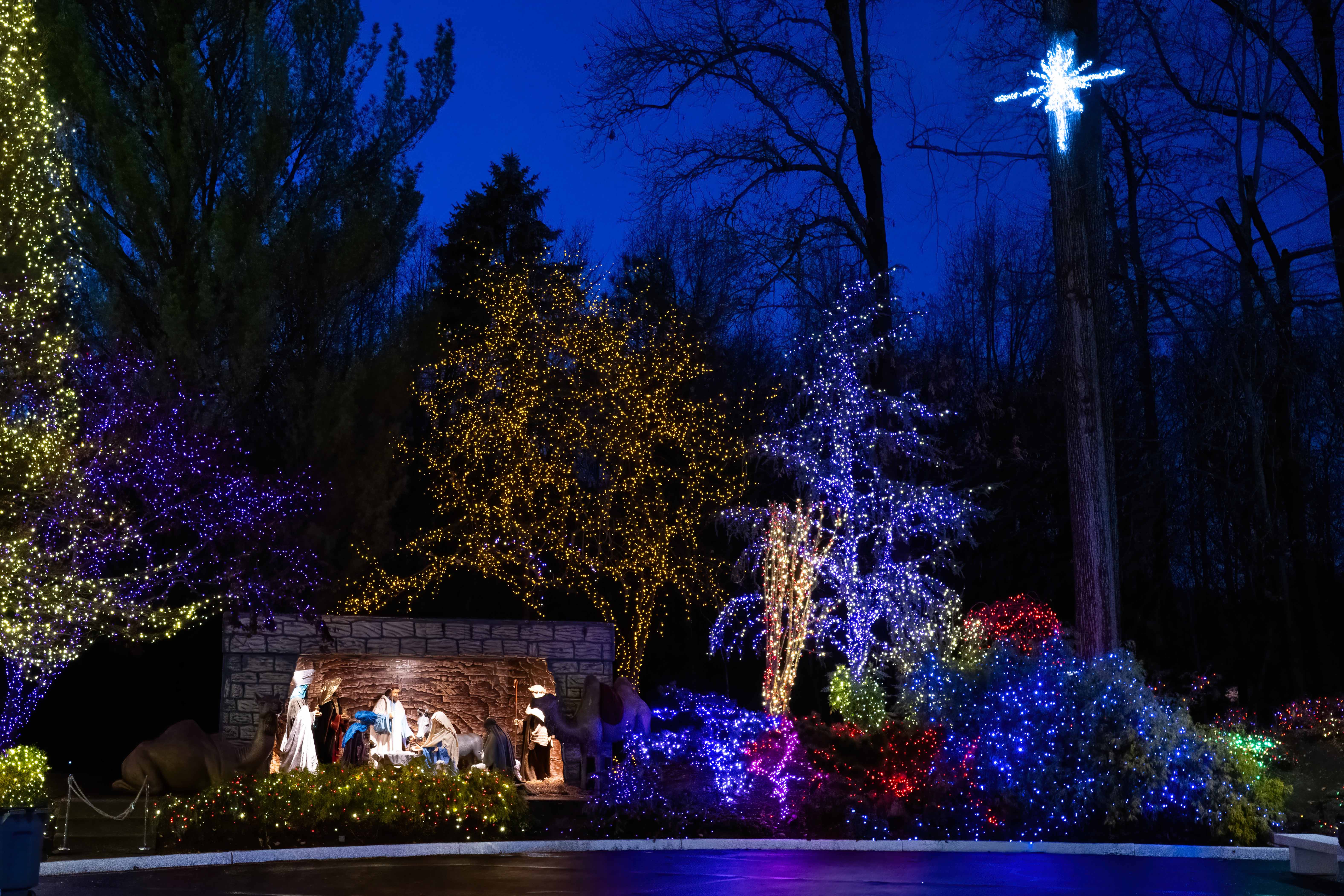 Washington D.C. Temple grounds illuminated by Elder Caussé