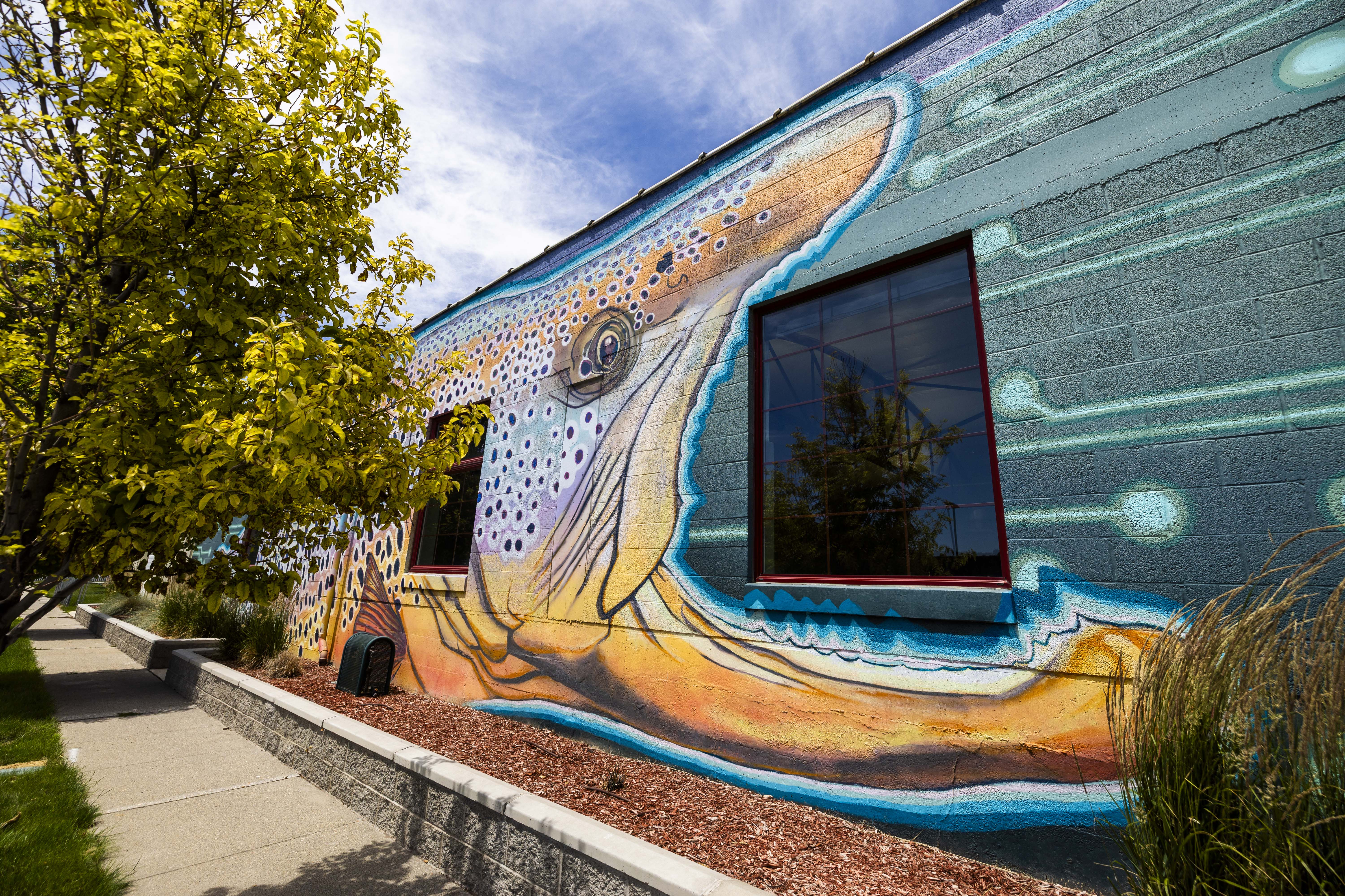 Utah's wildlife murals: Where art meets nature – Deseret News