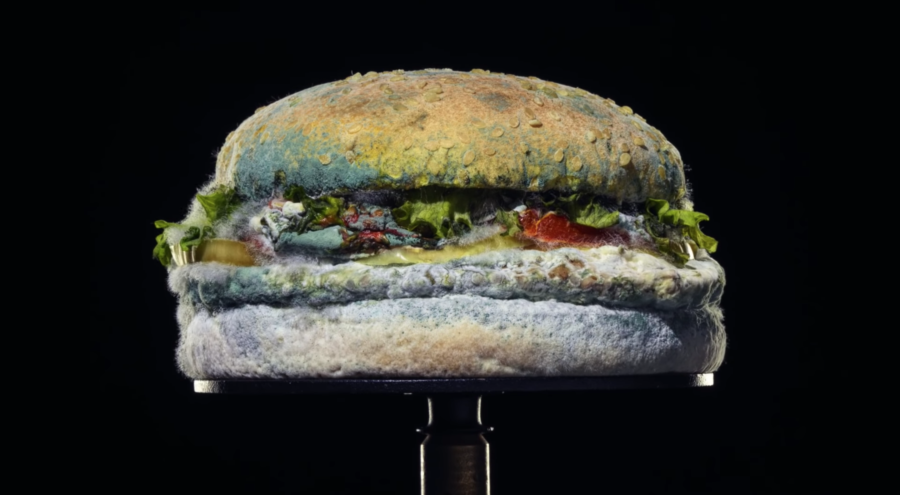 Burger King's new 'Moldy Whopper' ad is turning heads and churning stomachs  – Deseret News