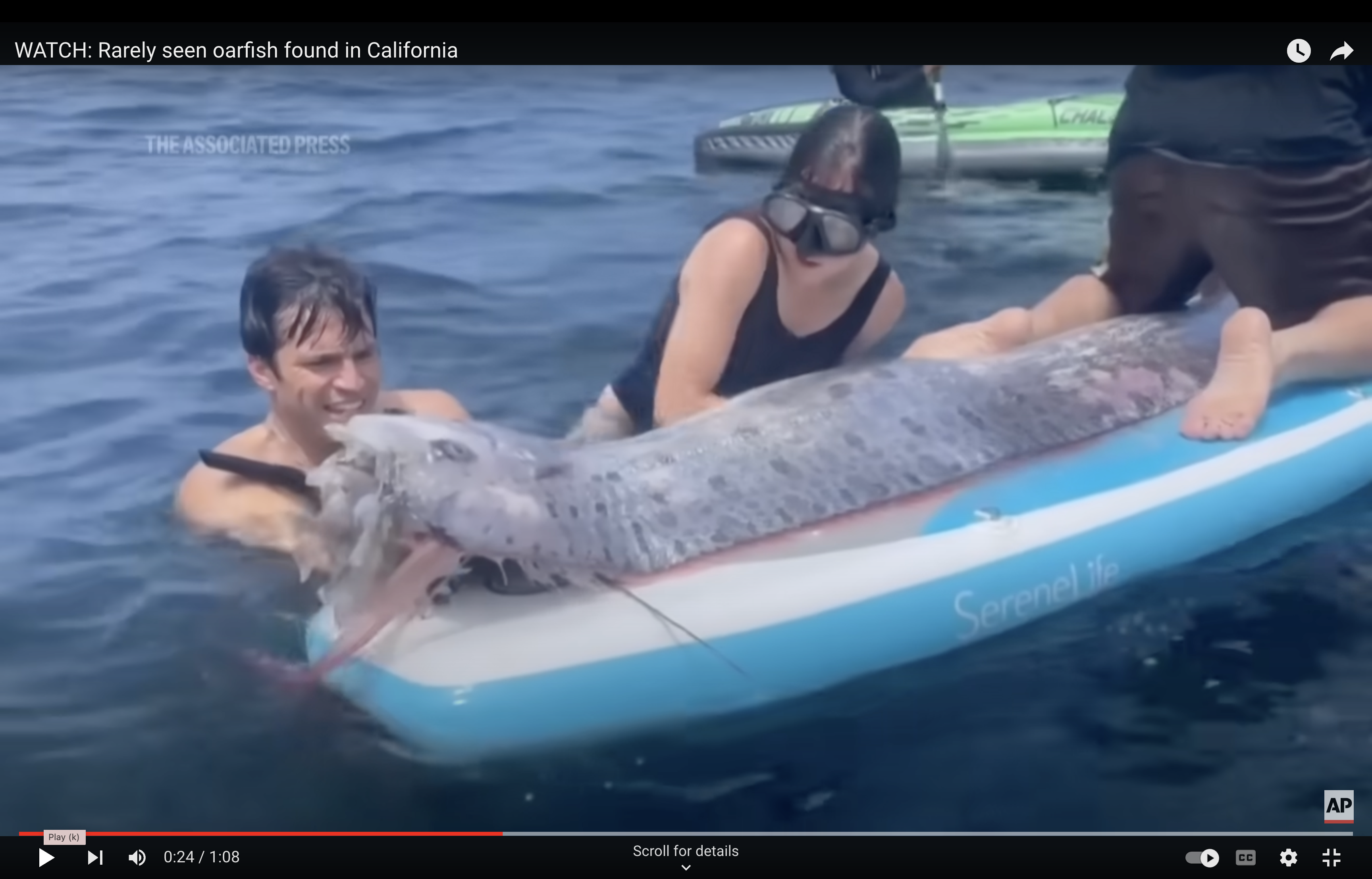 Rare deep-sea oarfish discovered off California coast – Deseret News, image size:3456x2216