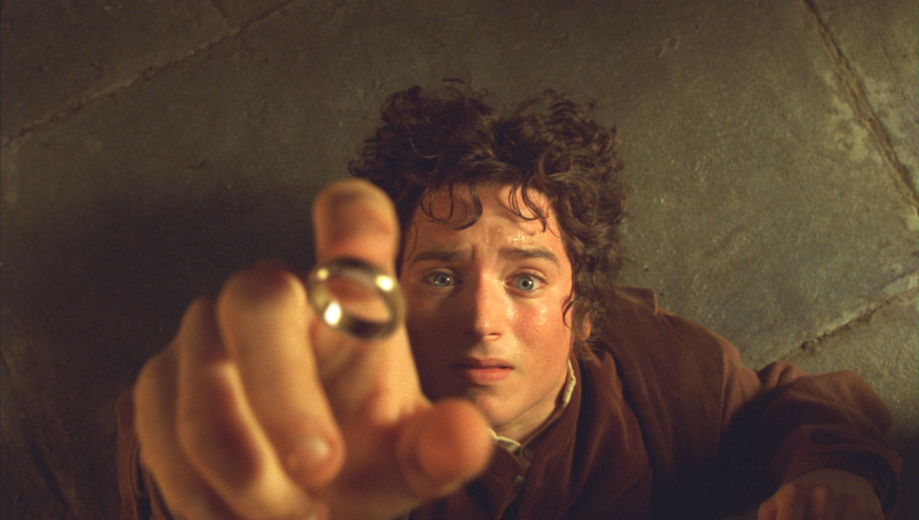 I love how in The Hobbit's beginning scenes show Frodo leaving to meet  Gandalf in the woods. | The hobbit, Fellowship of the ring, Lord of the  rings