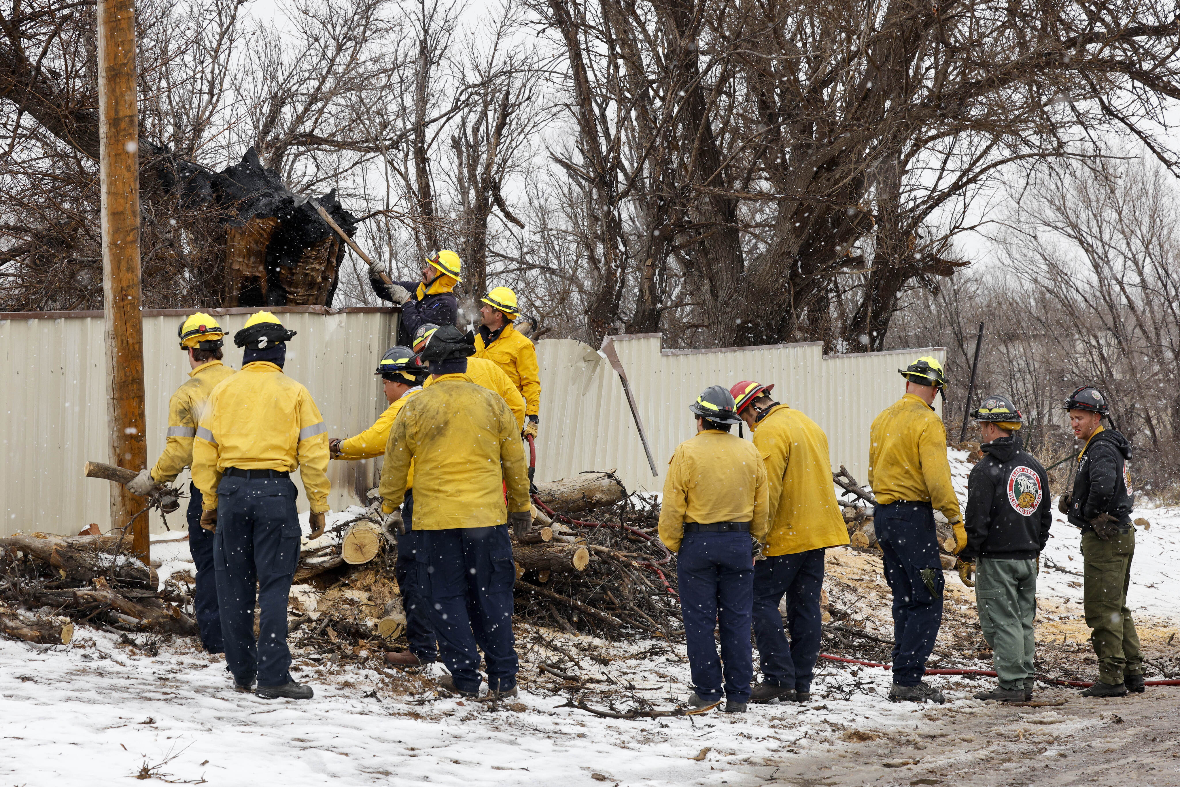 Fire crews from various agencies work to cut down a dead tree to prevent further damage...