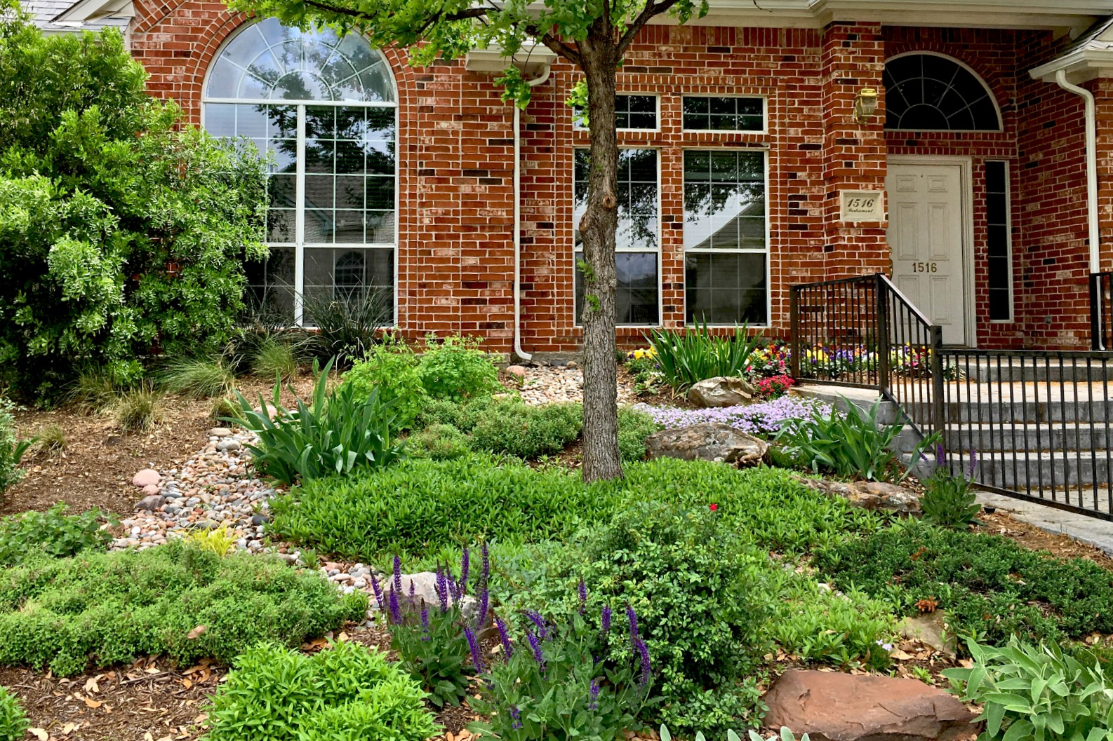 How a rain garden can benefit your North Texas landscape, image size:1586x1057