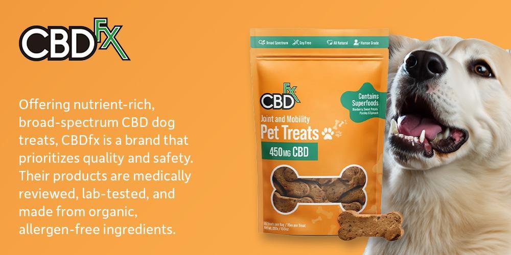 What Can You Give A Dog For Pain Relief Over The Counter