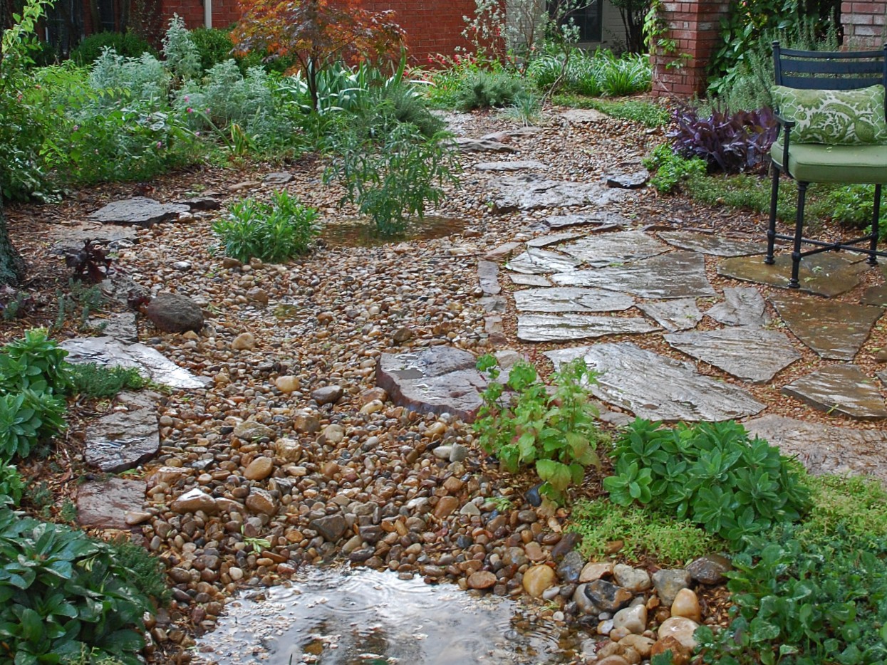 How a rain garden can benefit your North Texas landscape, image size:1245x934