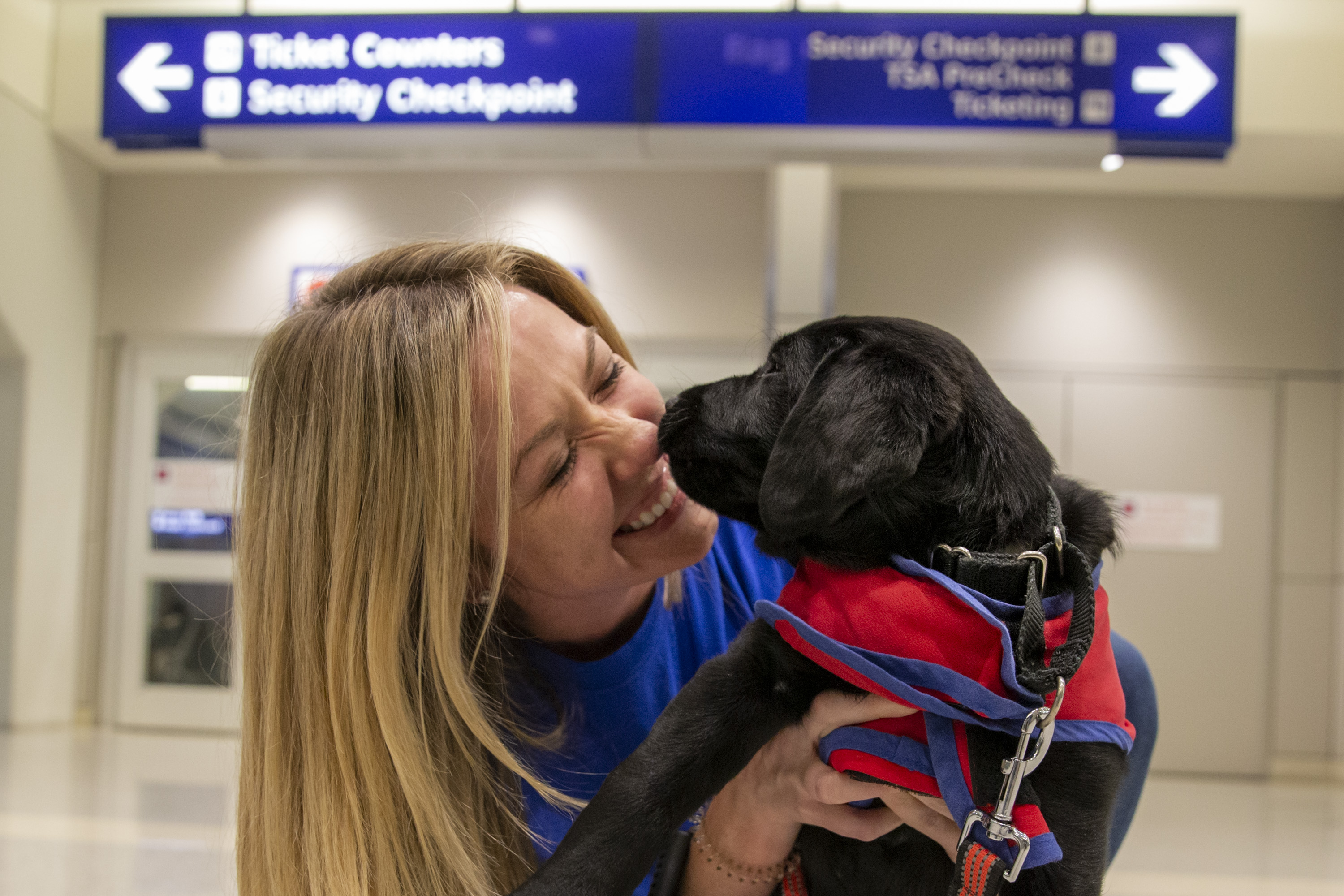 American shop airlines puppy