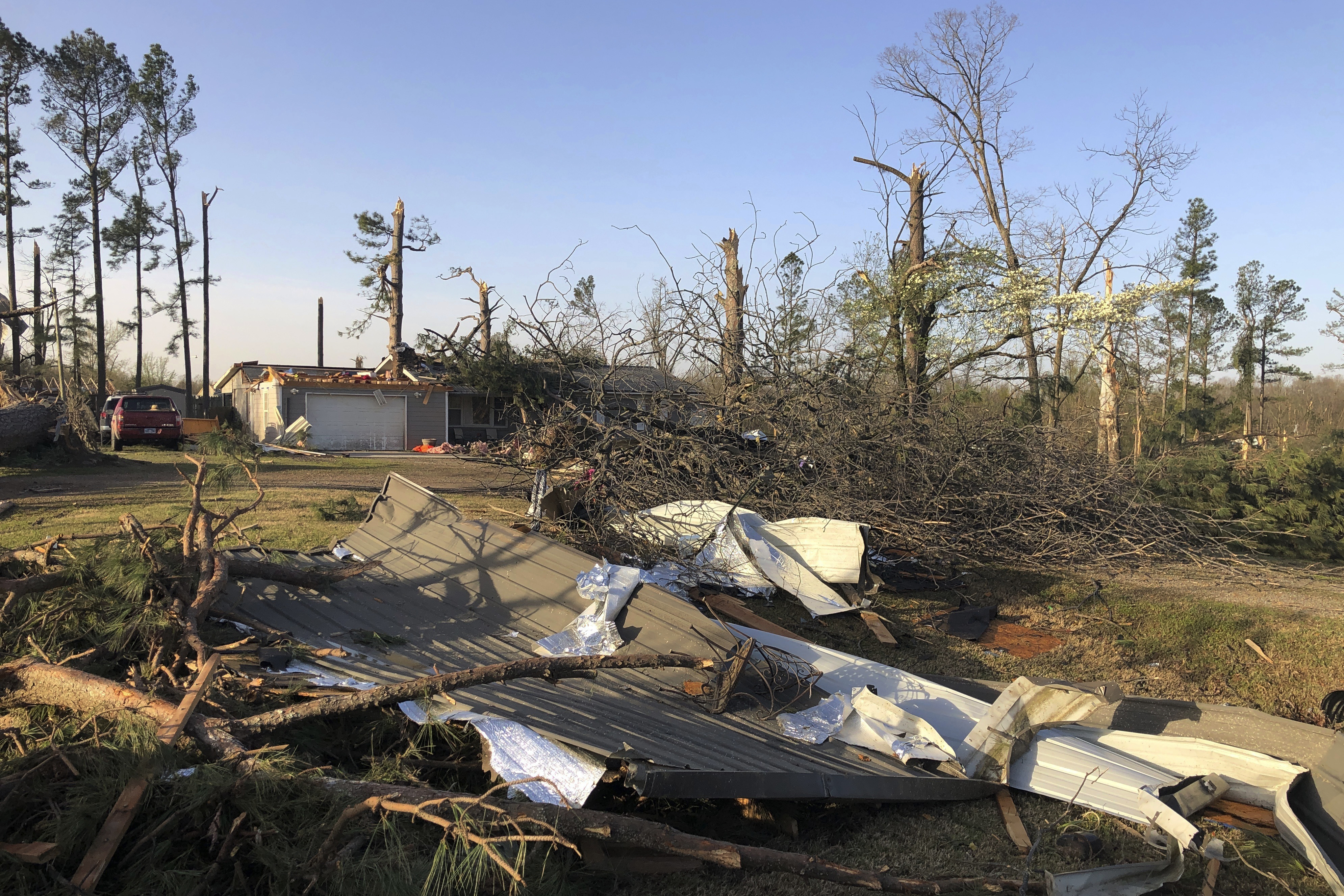 Can Dogs Sense Tornadoes? Tips for Arkansas Tornado Season