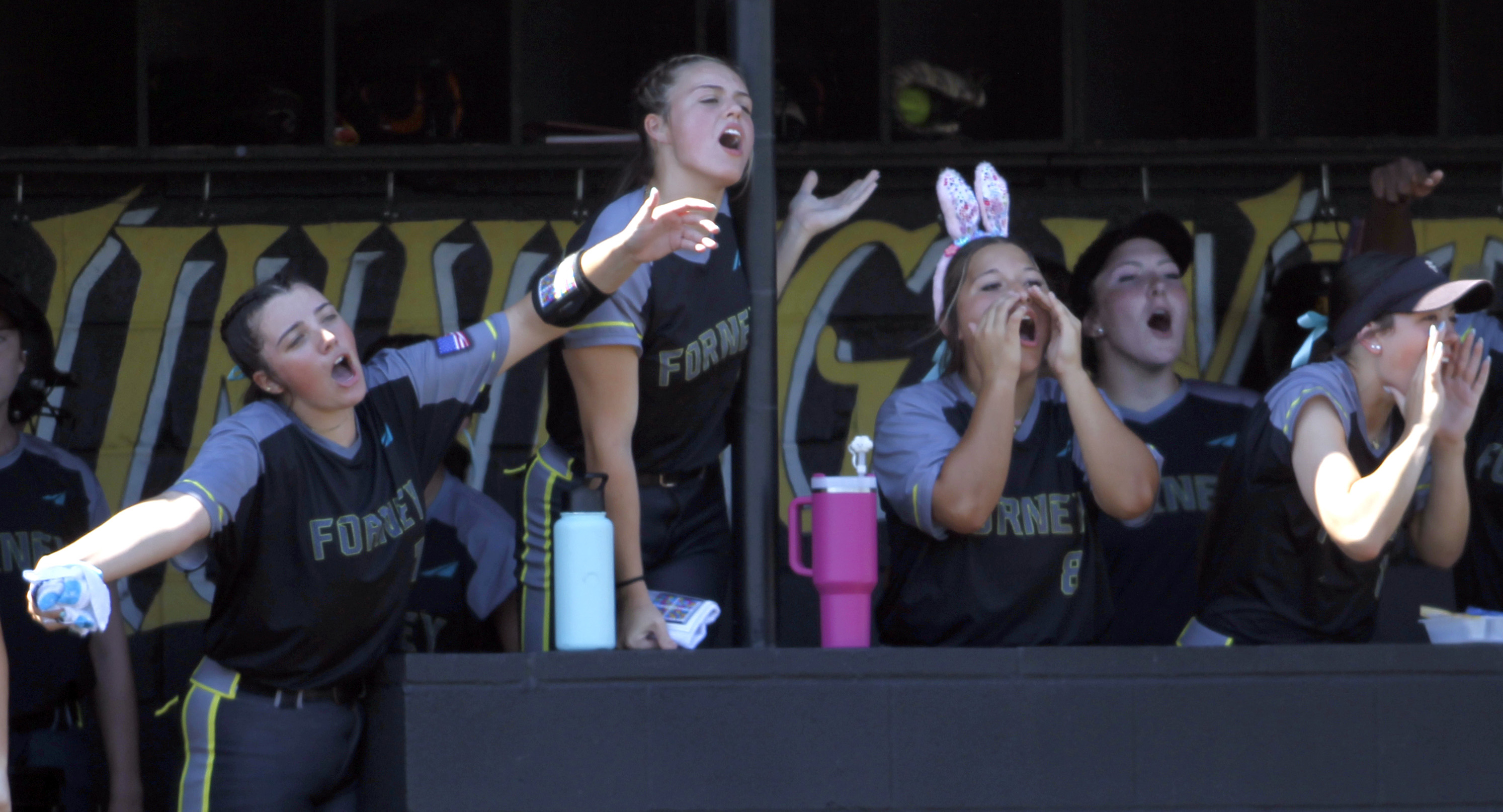 Forney players react from the dugout after the team scored in the second inning against...