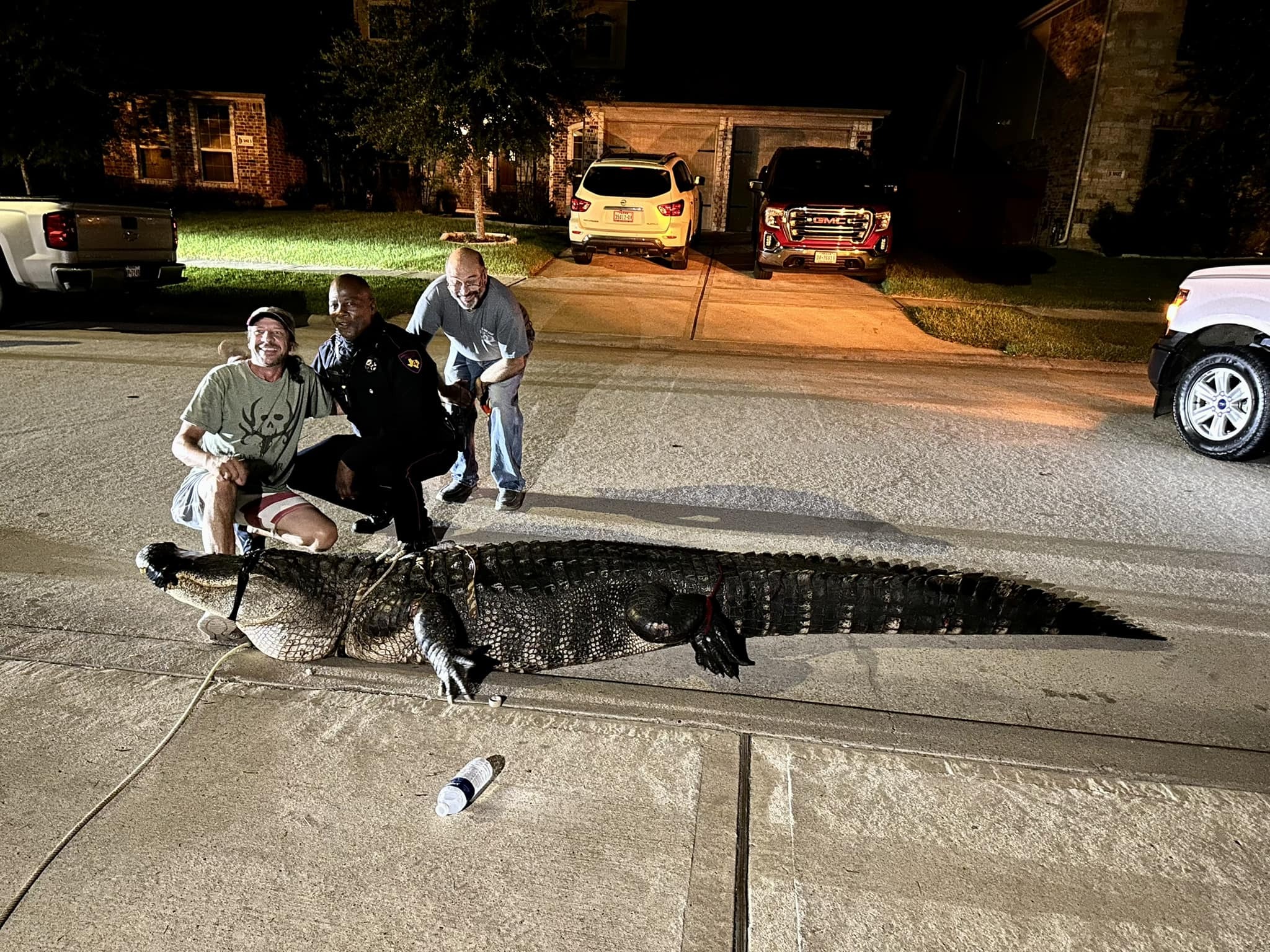 Cocodrilo de 4 metros es capturado en un vecindario de Texas