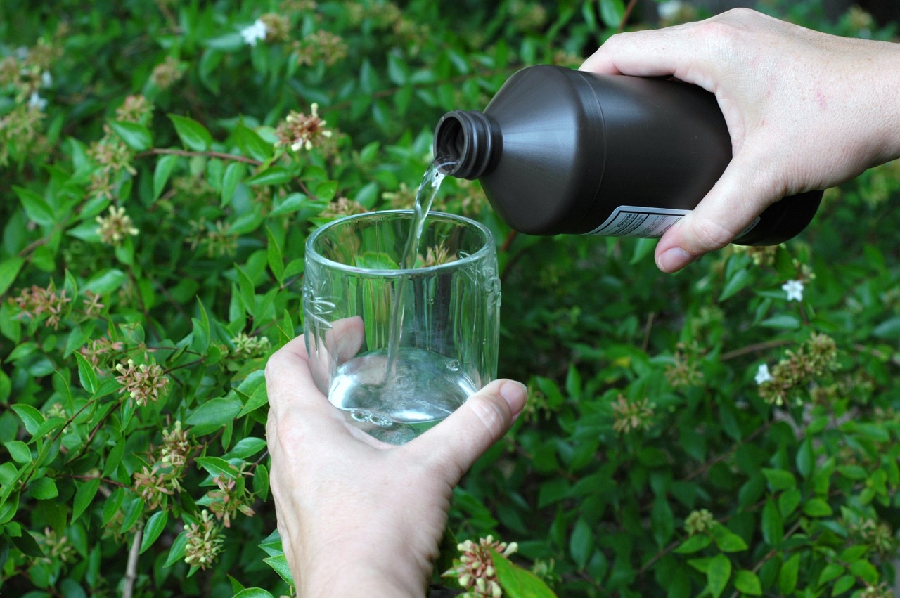 Hydrogen peroxide has many uses in your garden and around the house