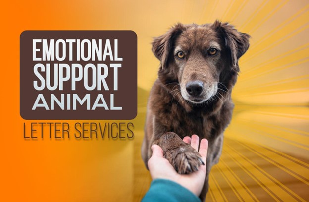 ESA letter online: Best Emotional Support Animal Letter Services