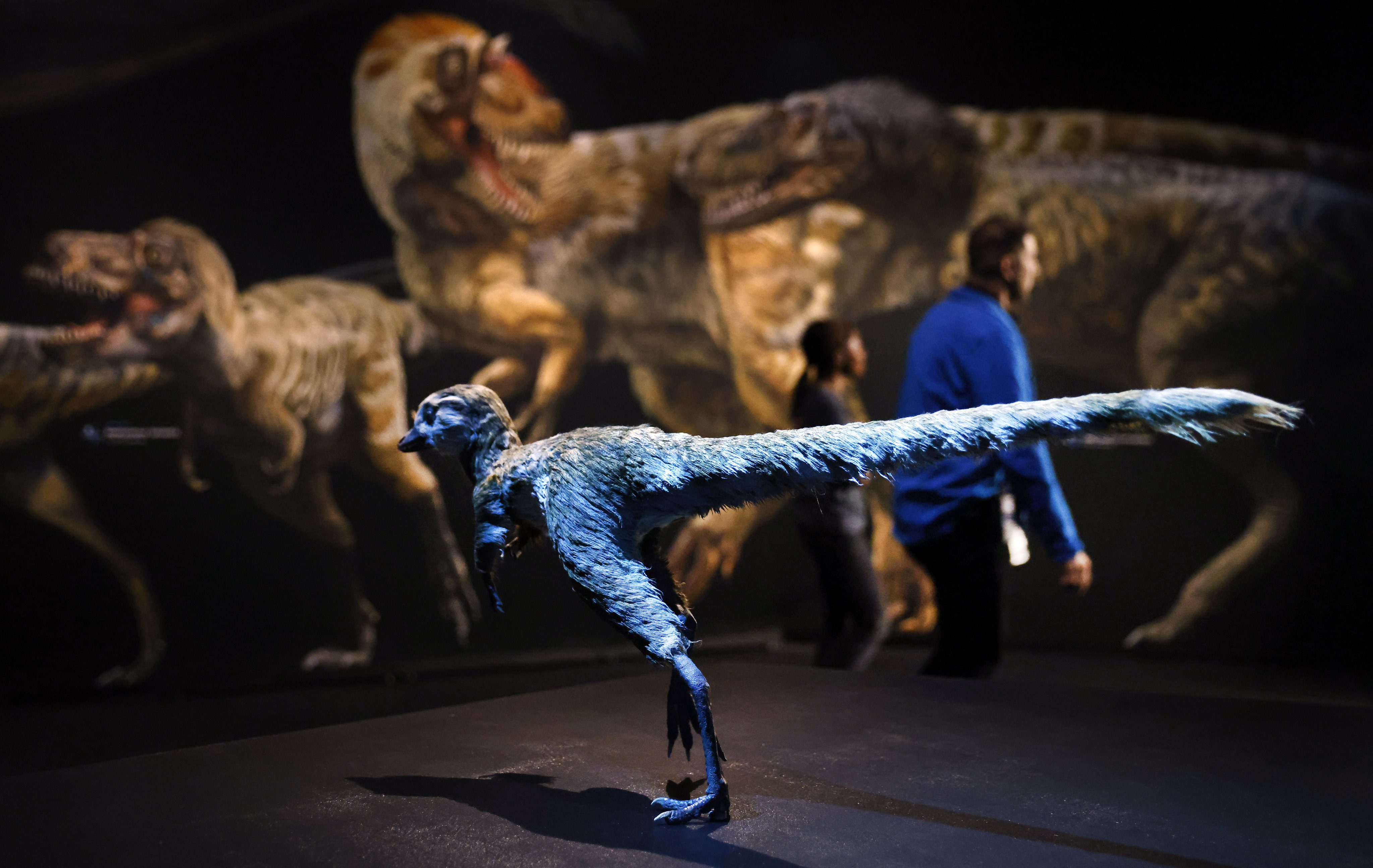 T. rex exhibit makes roaring entrance at Perot Museum