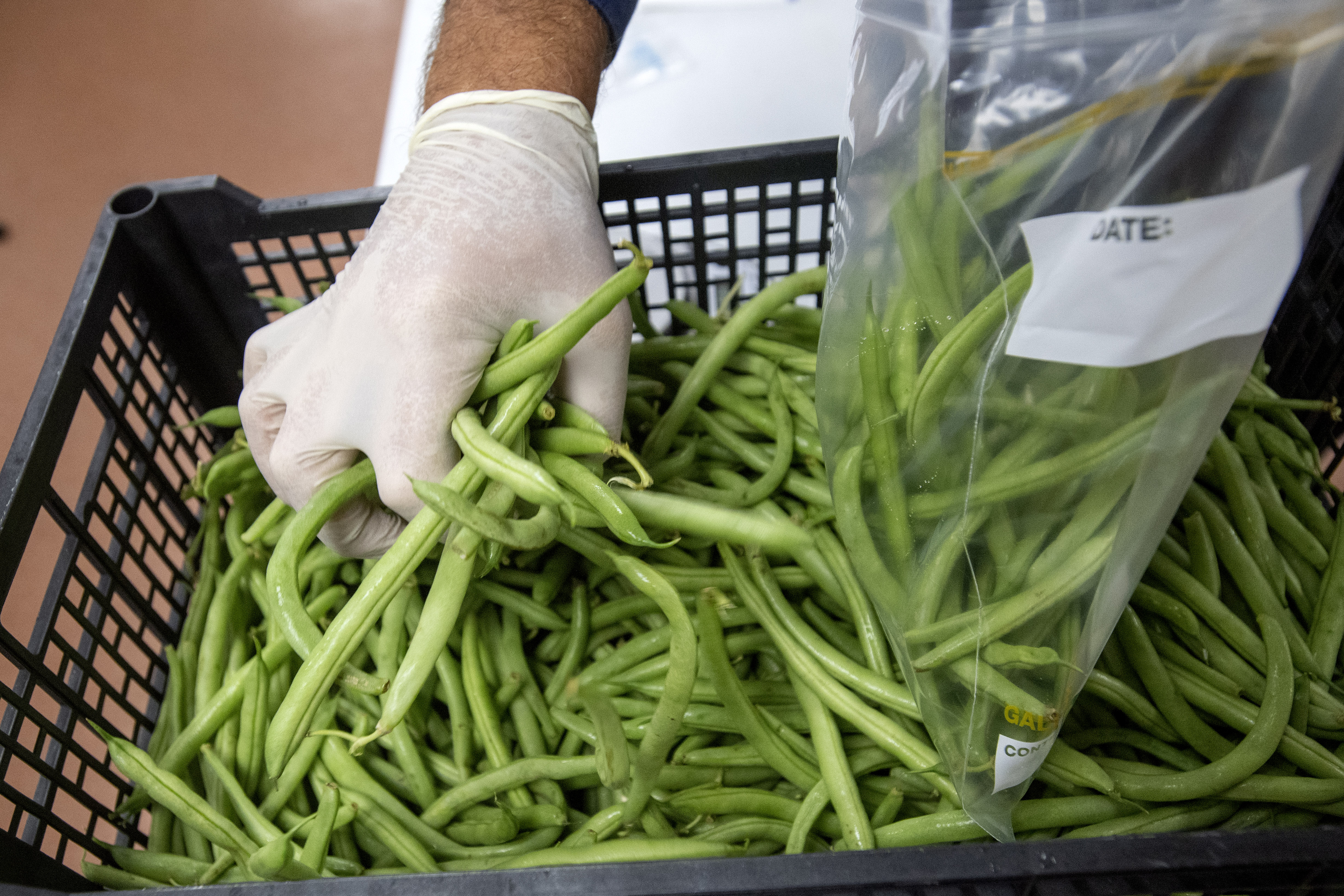 How One Dallas College Is Continuing Culinary Classes During The Pandemic