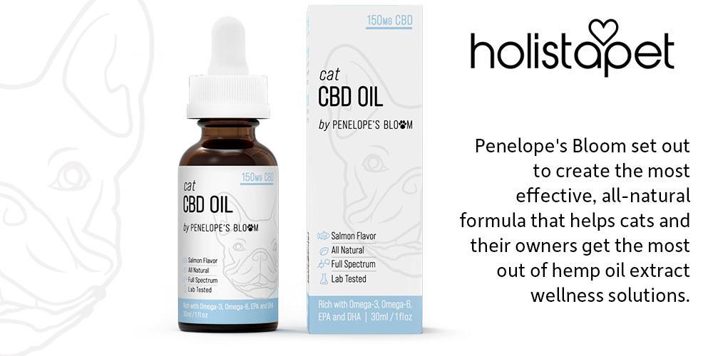 CBD Oil For Cats - HolistaPet