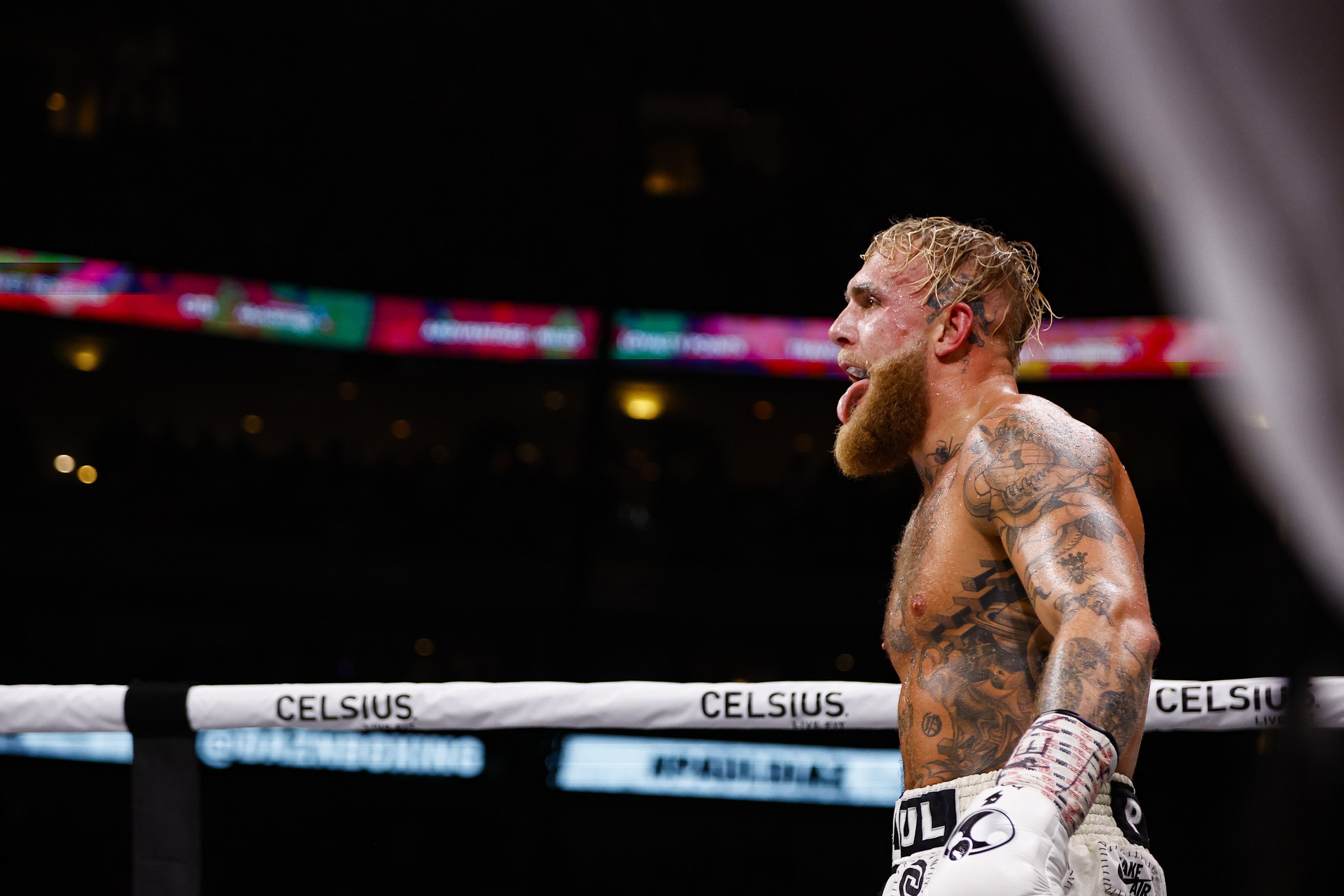 Jake Paul bounces back from 1st loss with unanimous decision win over Nate  Diaz