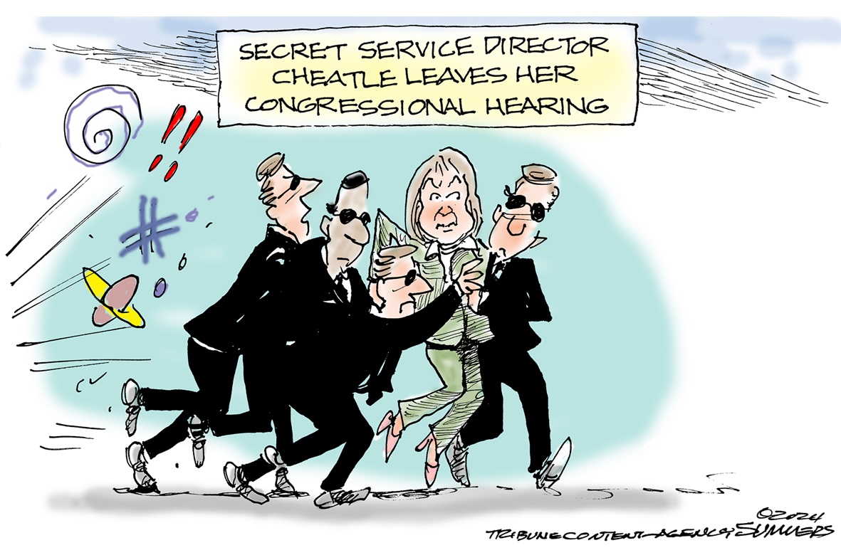 Secret Service Cartoons