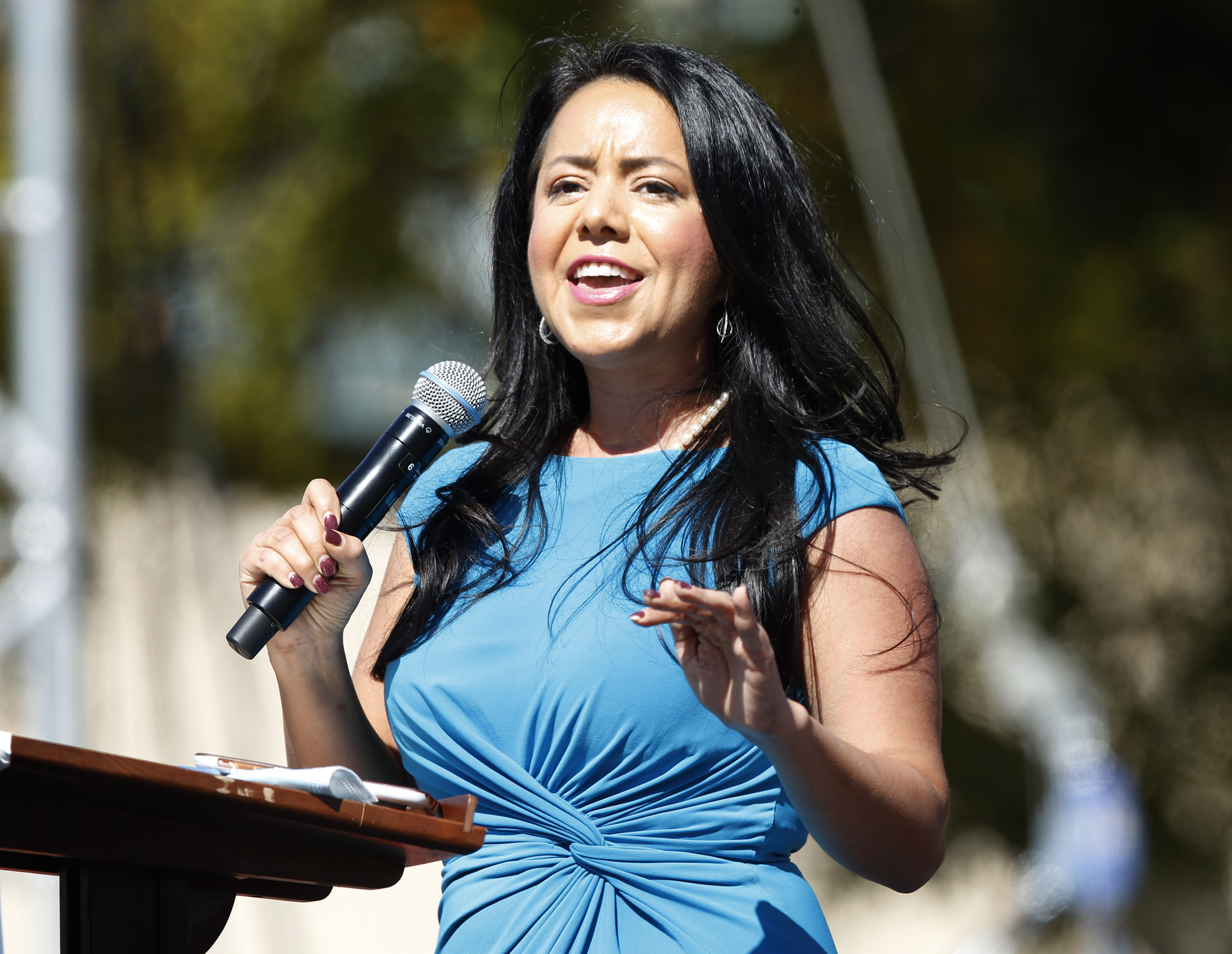 Texas Rep. Victoria Neave Criado to challenge state Sen. Nathan Johnson in  March primary