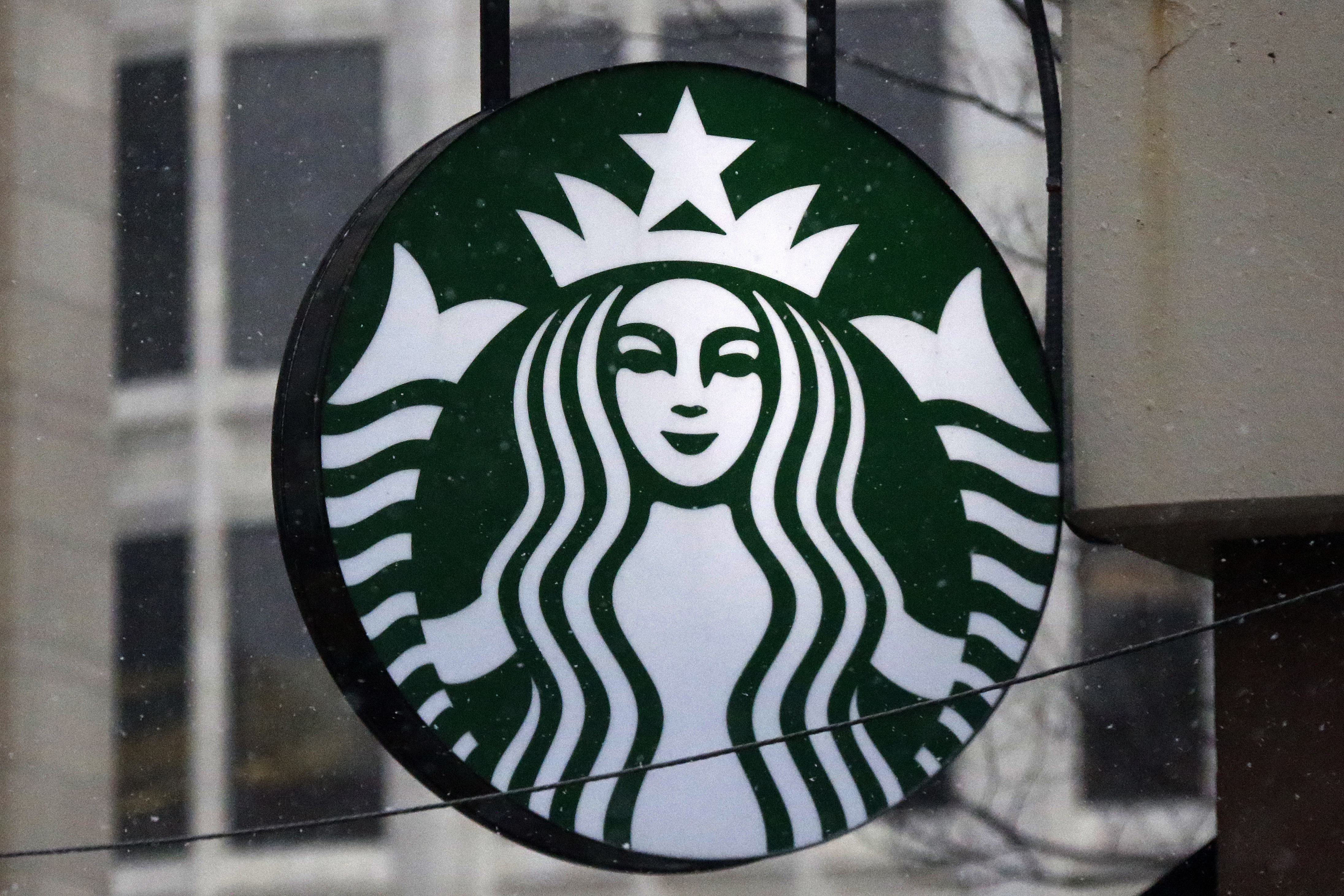 Recompensará Starbucks a quien logre hacer vasos ecofriendly - THE FOOD  TECH - Medio de noticias líder en la Industria de Alimentos y Bebidas