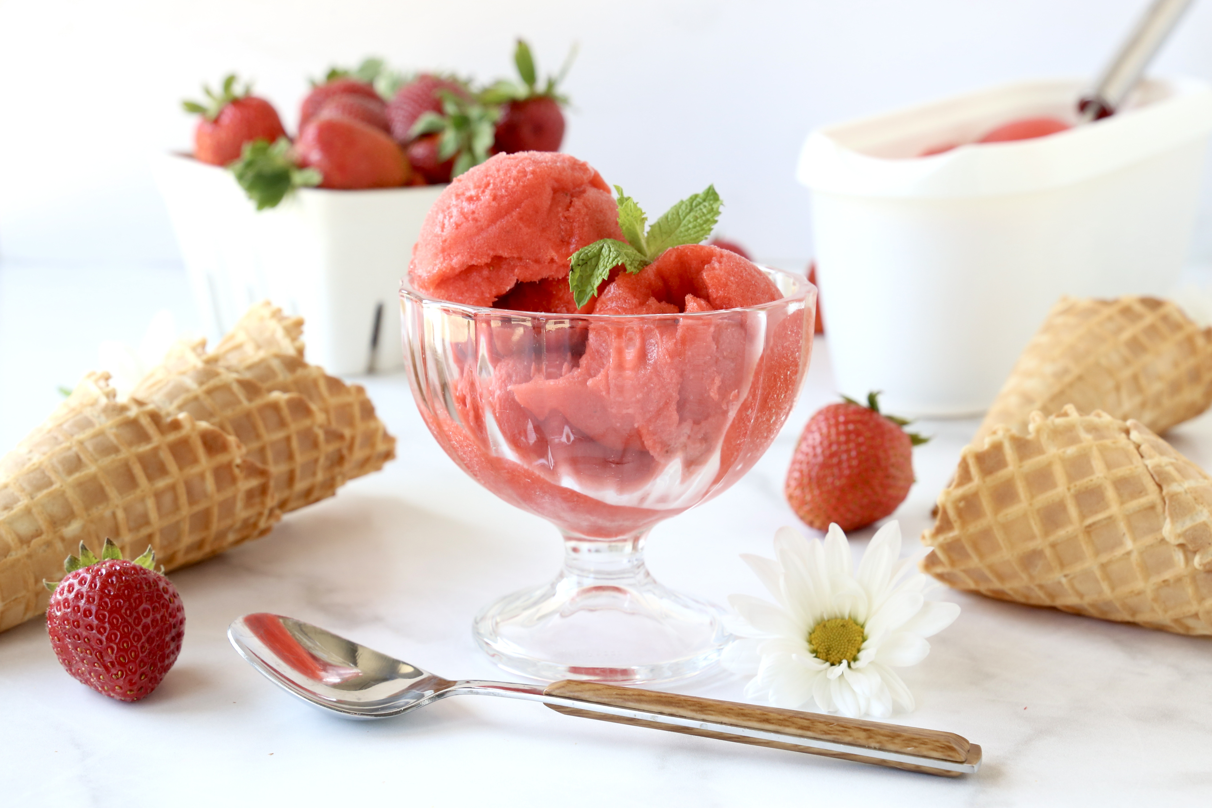 Berry delicious: Celebrate summer with special sponge cake and sorbet  recipes