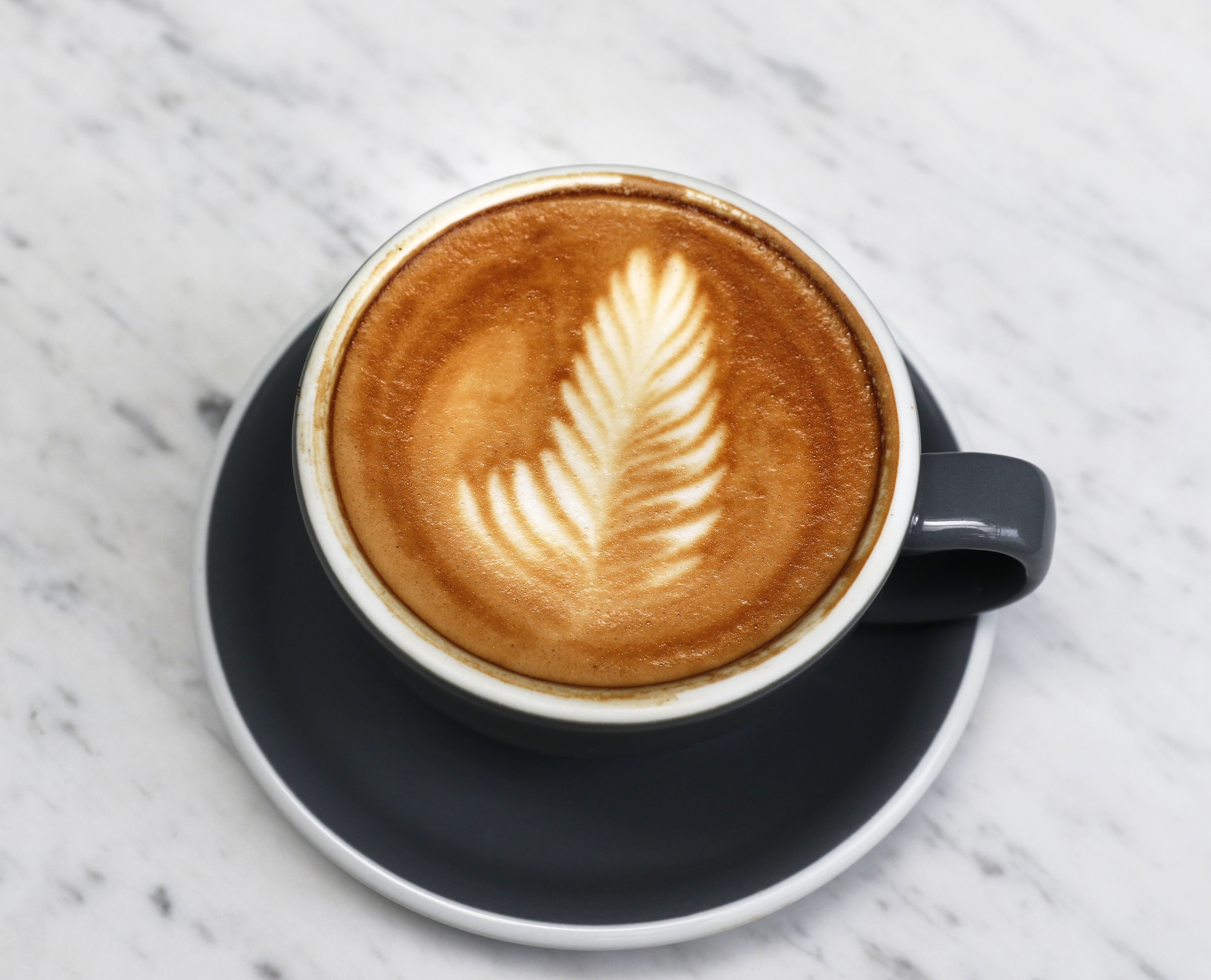 National Cappuccino Day 2023: 7-step guide to make cafe-style cappuccino