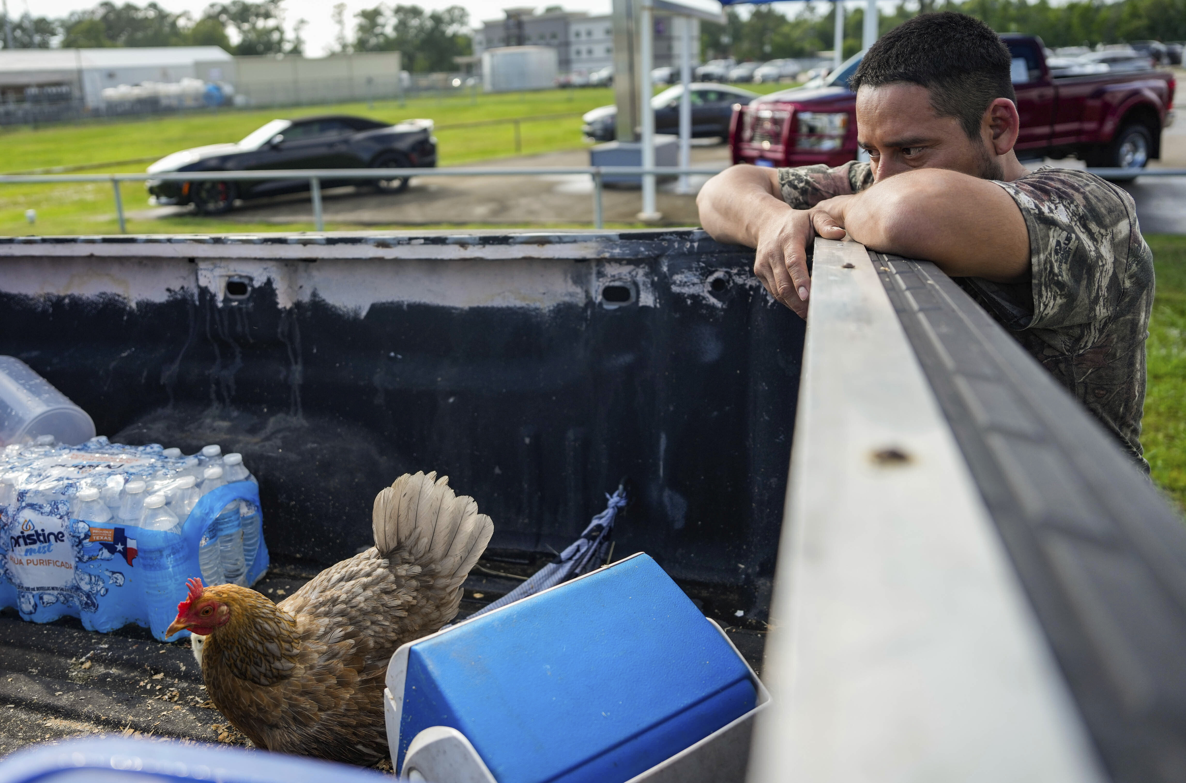 Angel DeLeon looks over his chicken as him and other residents from a nearby neighborhood...