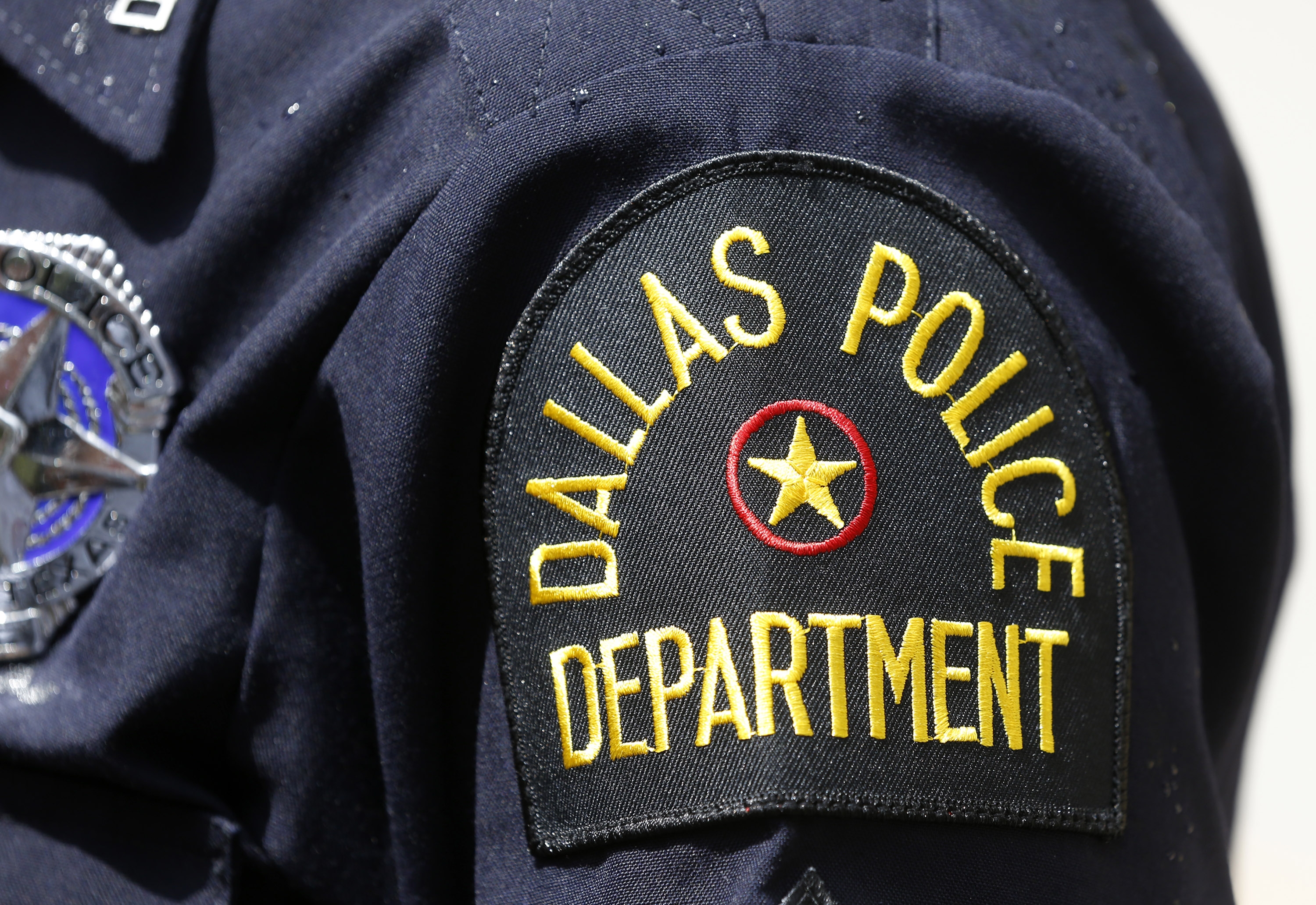 The Cat Killed by Dallas Police Officer Had a Criminal Past