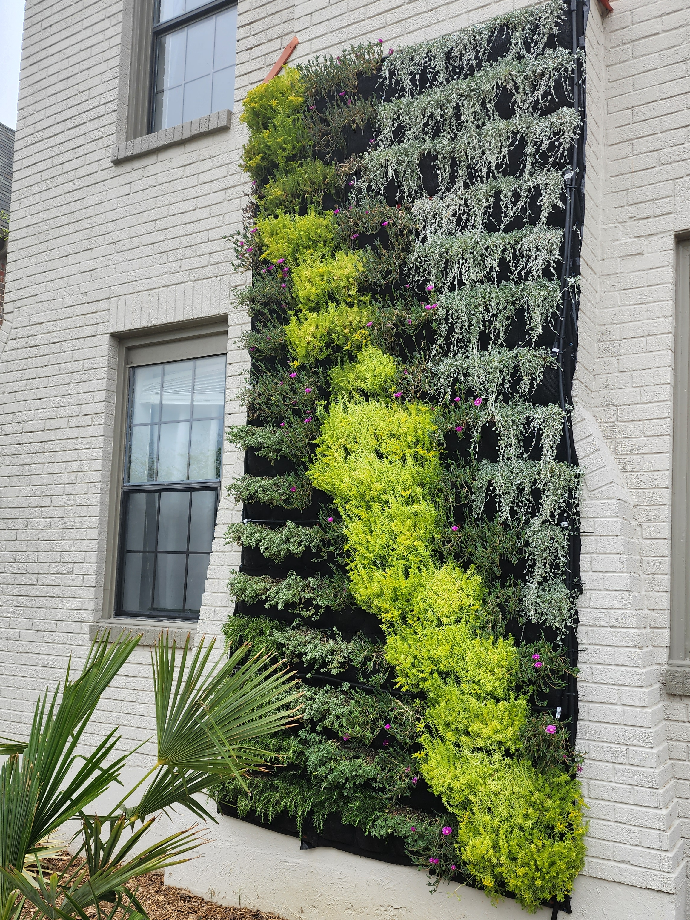Small space? Make a big impact with a vertical garden, image size:2311x3081
