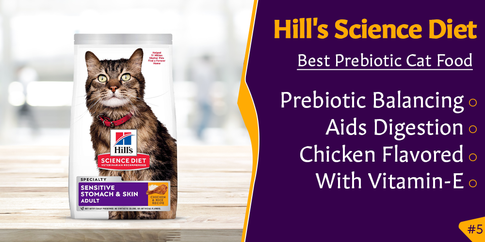 best wet cat food for sensitive stomach vomiting