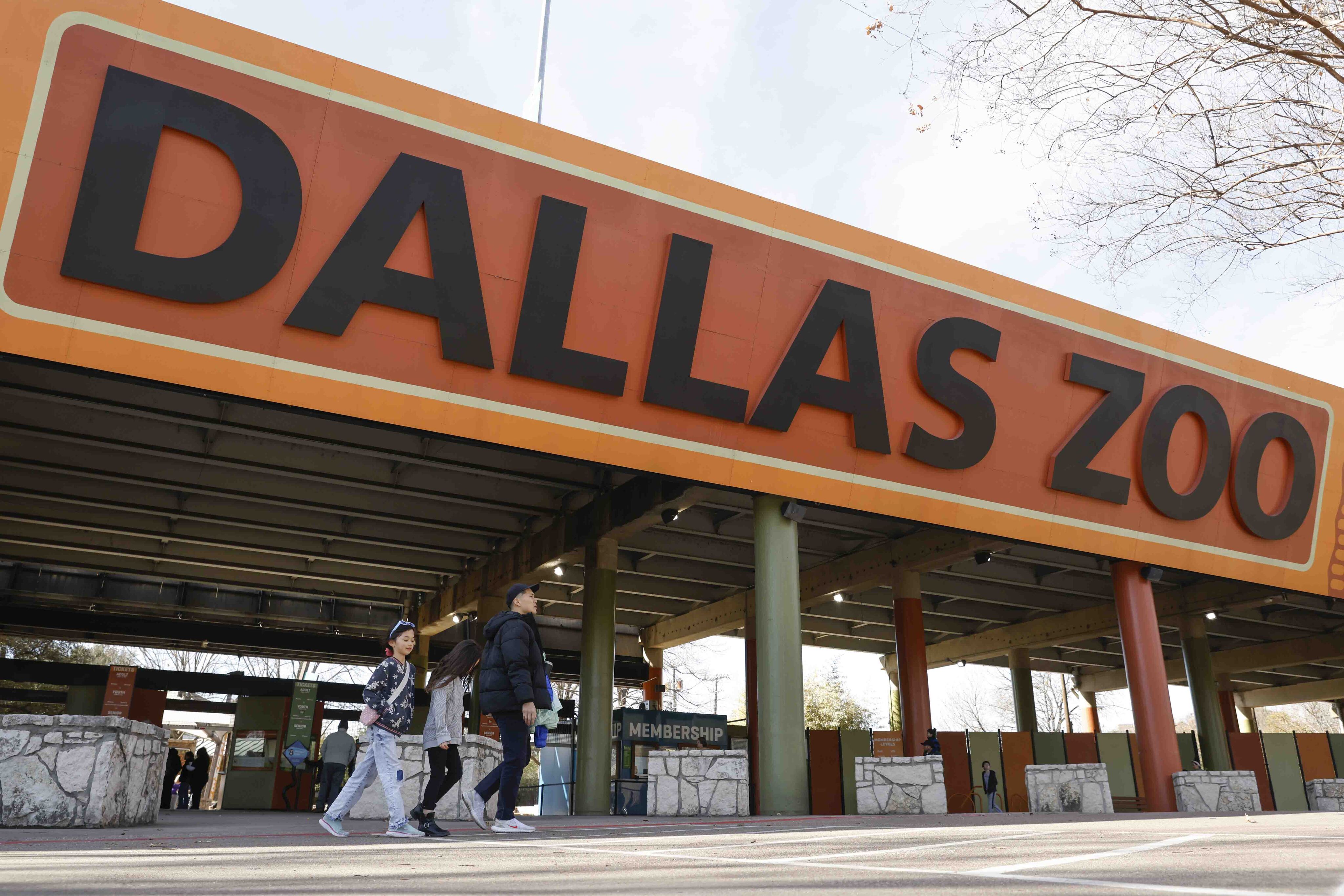 As Dallas Zoo looks to bolster security, experts say challenges lie ahead