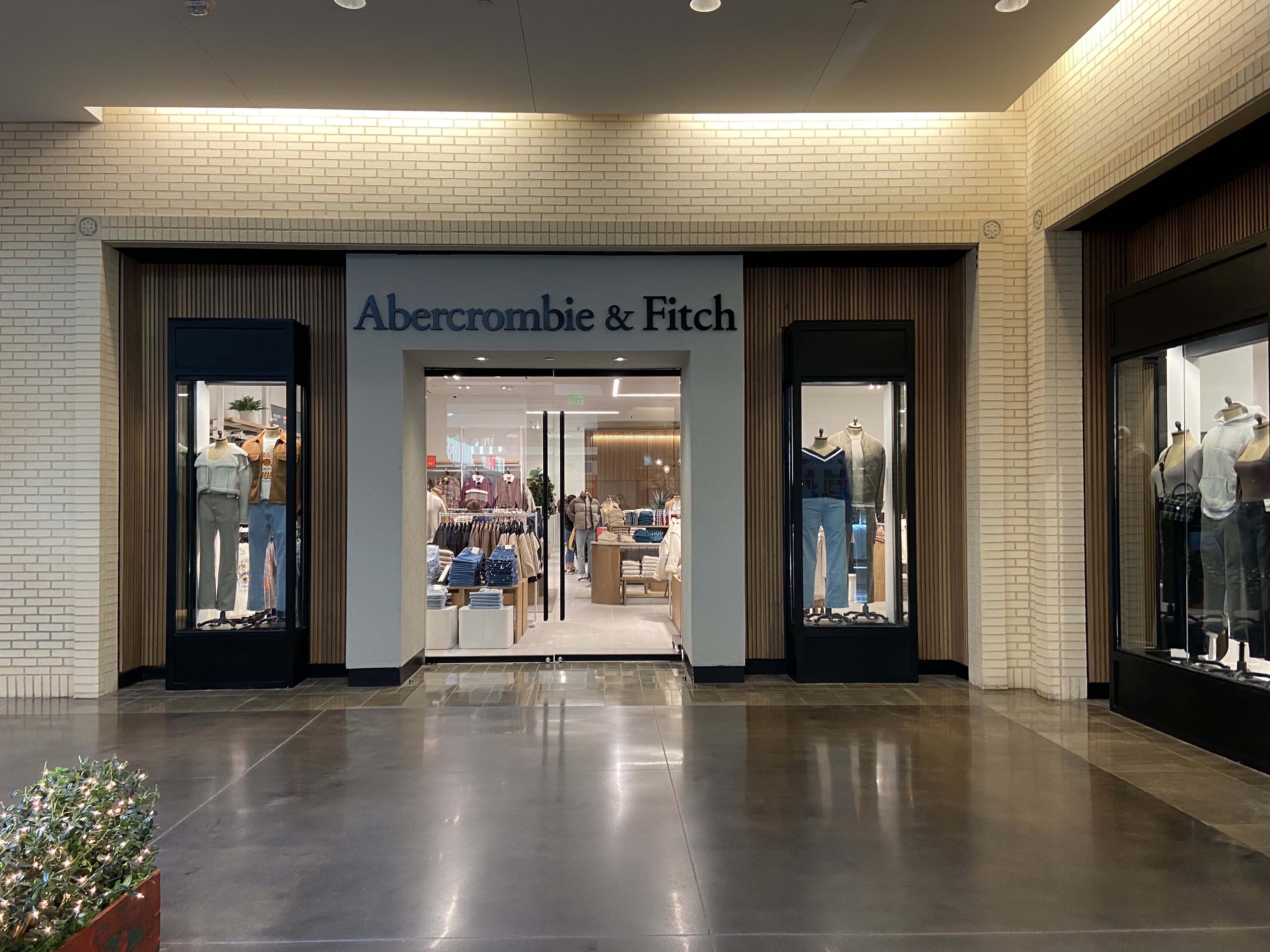 Abercrombie & Fitch opens new store in Dallas' NorthPark Center on eve of  Christmas