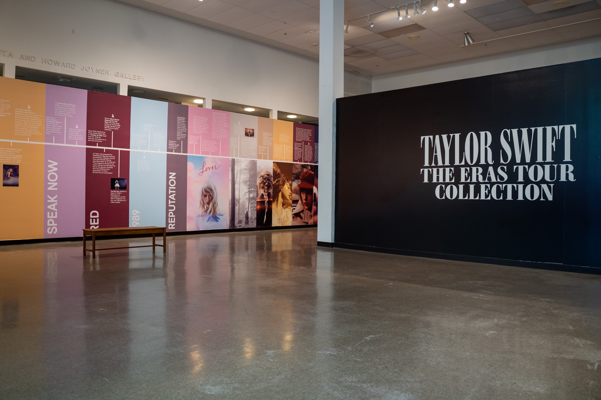 Taylor Swift costumes and photos in Arlington at Eras Tour Collection