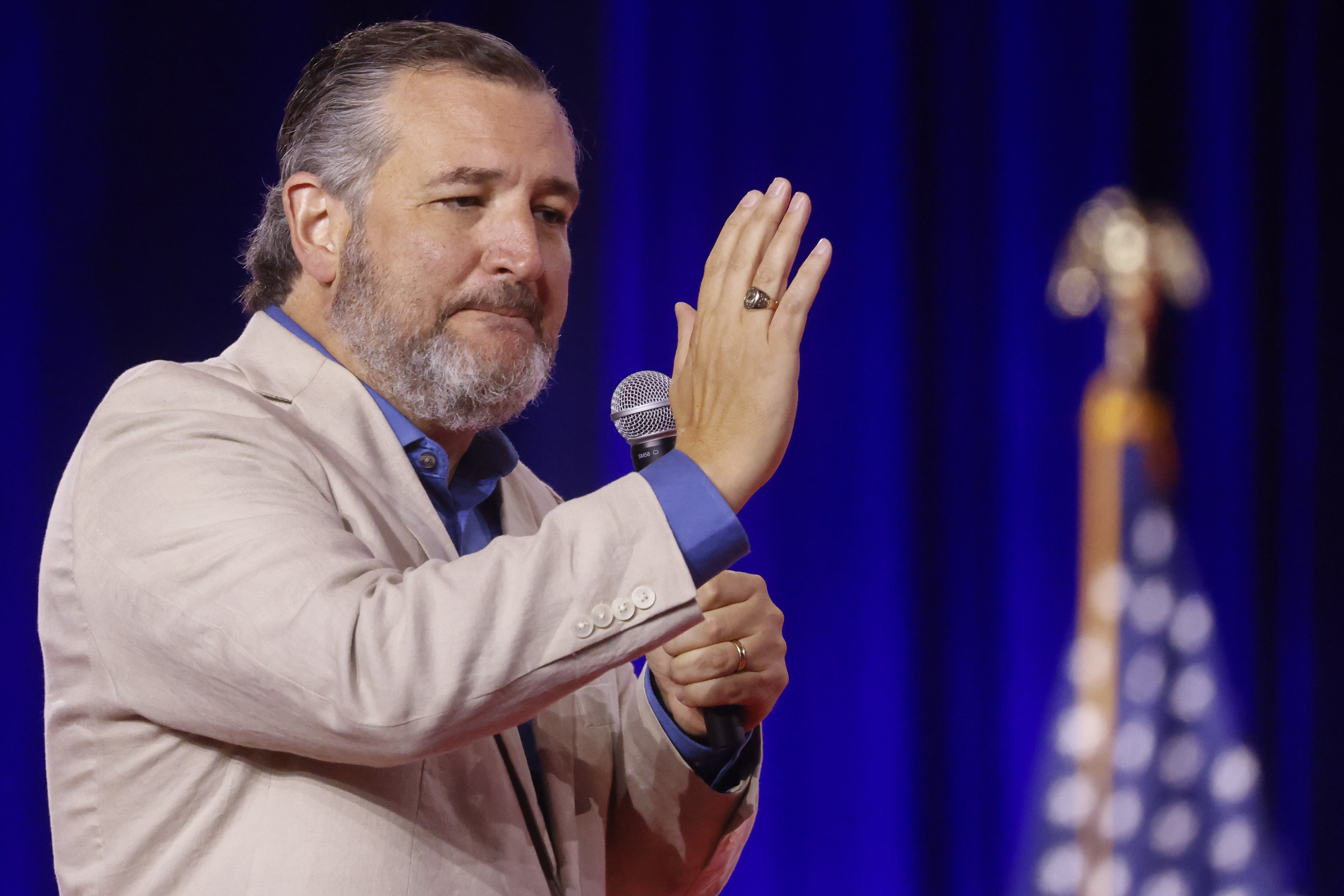 Ted Cruz softens on same-sex marriage, says reasonable people can disagree image picture