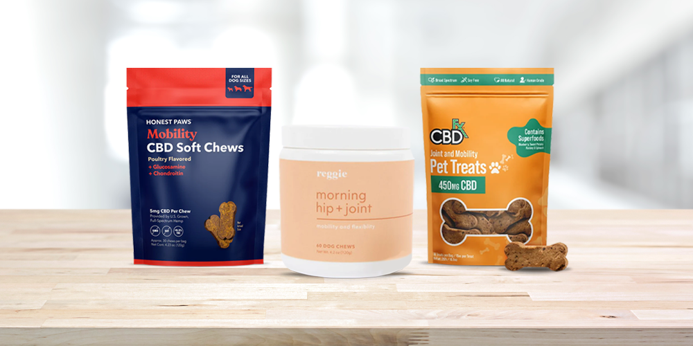 What Is The Best Supplement For Dog Joints