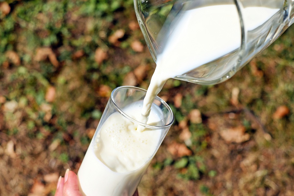La leche cuenta con las vitaminas necesarias para enriquecer la alimentación de niños. (Foto:Pixabay)